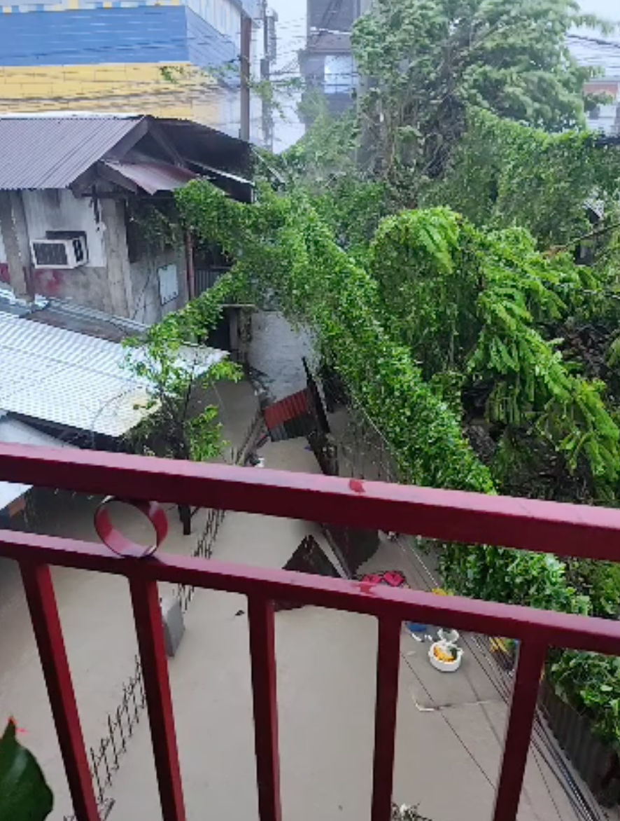 Help Tita's Family Rebuild After Typhoon Tino campaign photo, 2 of 3