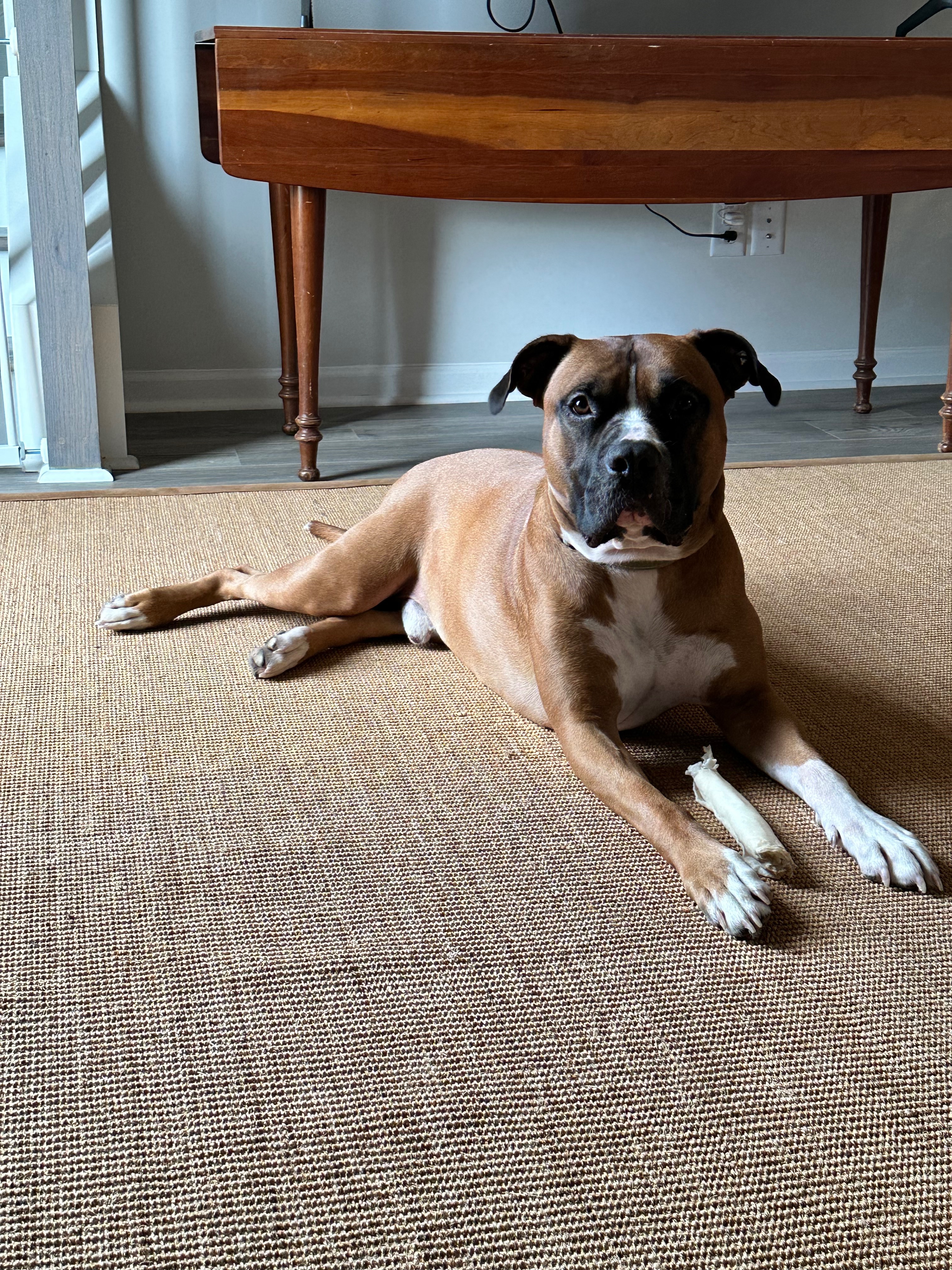 User-uploaded image 1