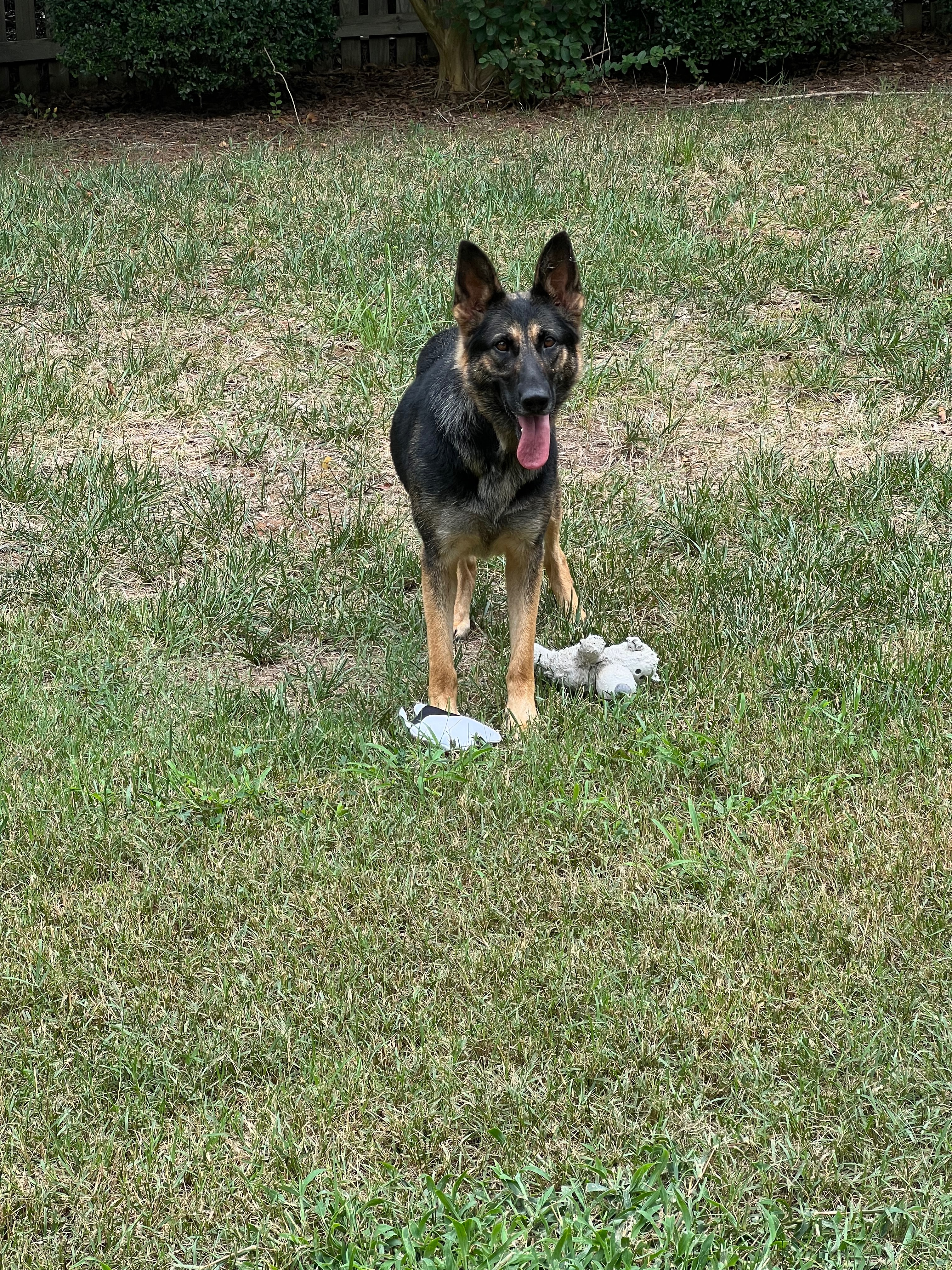 Transform Bella's Future with Professional Training campaign photo, 6 of 8