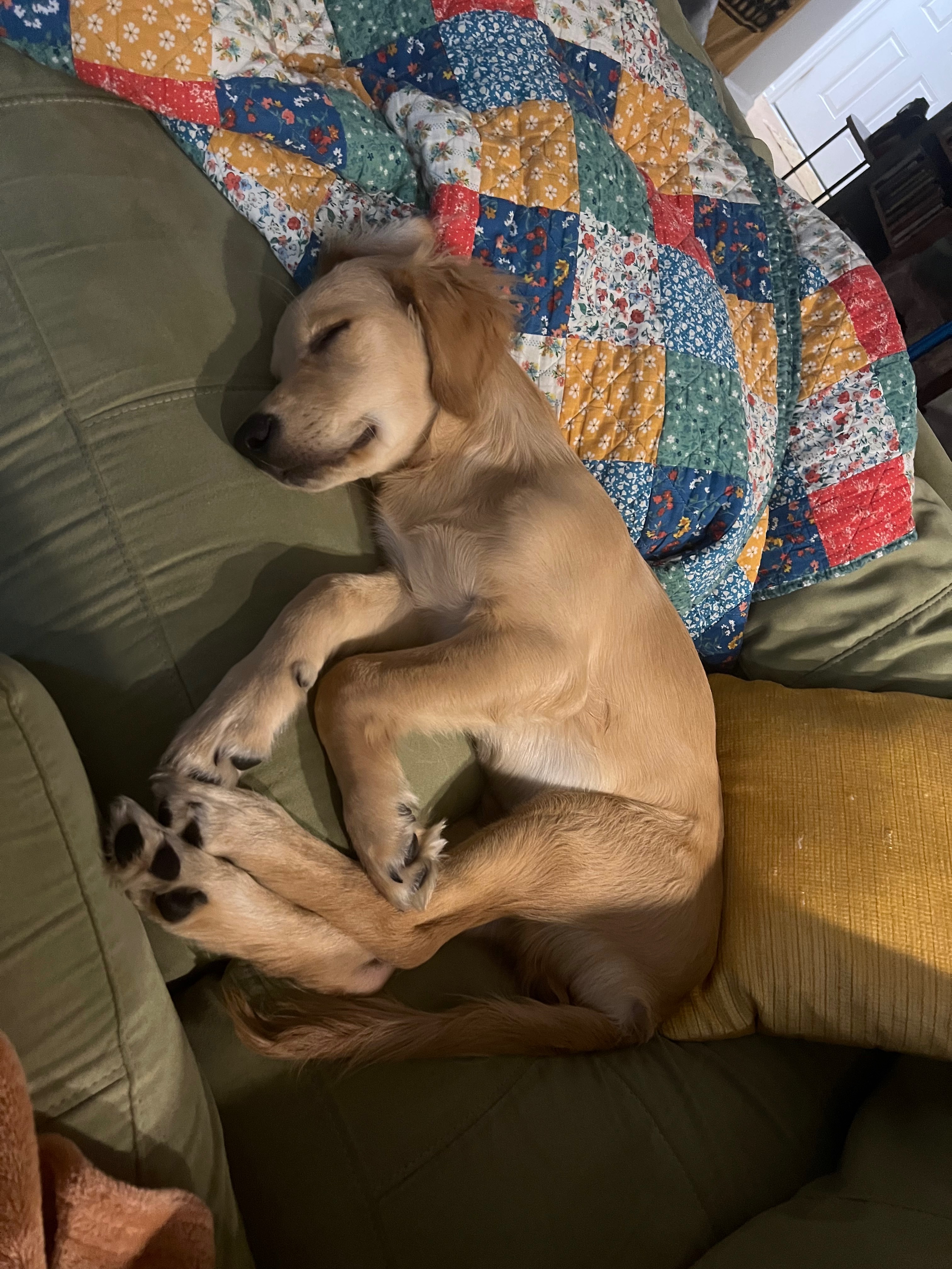 Support Bowie's Journey to Recovery campaign photo, 4 of 7