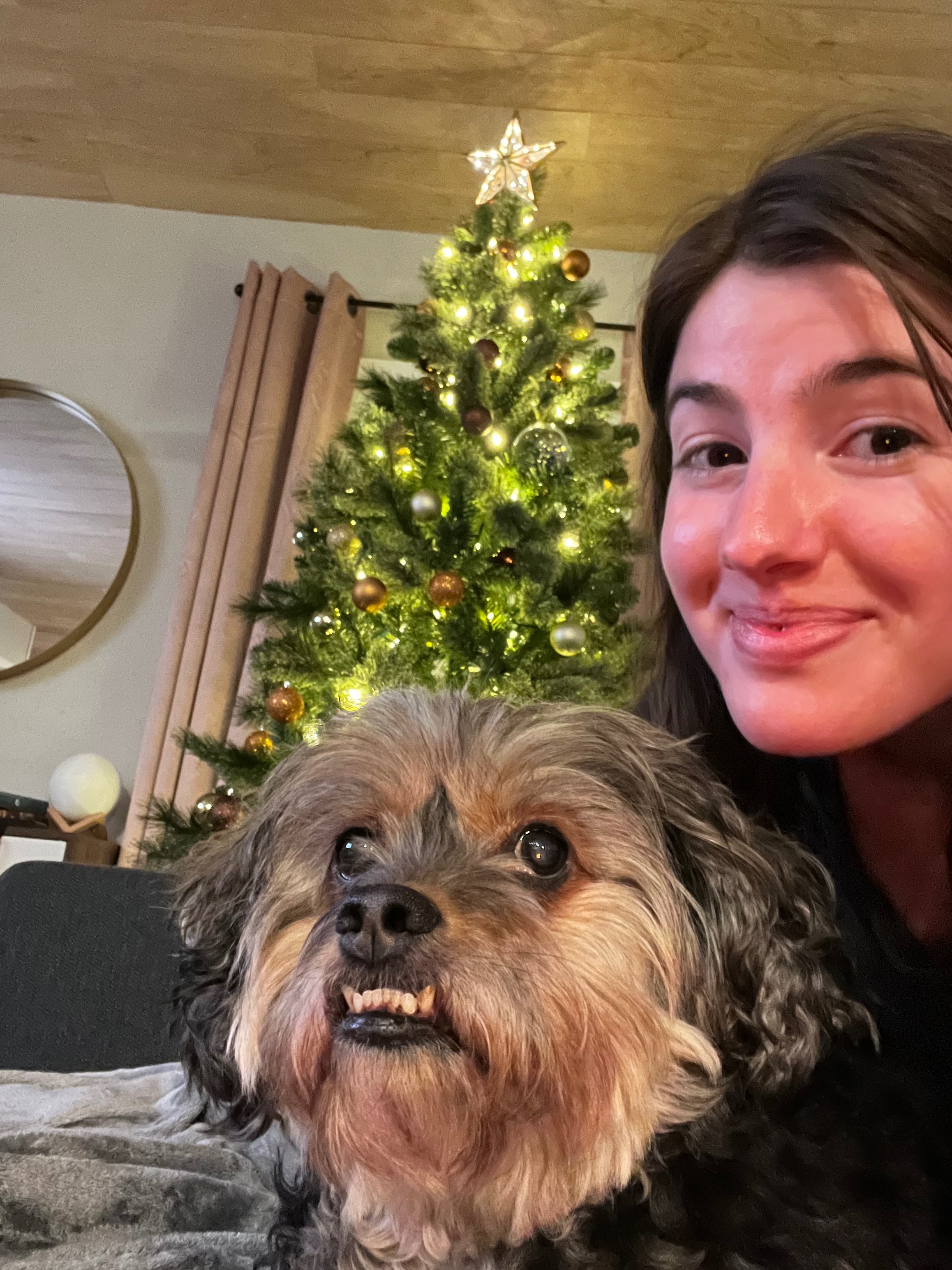 Help Rocky Get Life-Saving Surgery campaign photo, 4 of 8
