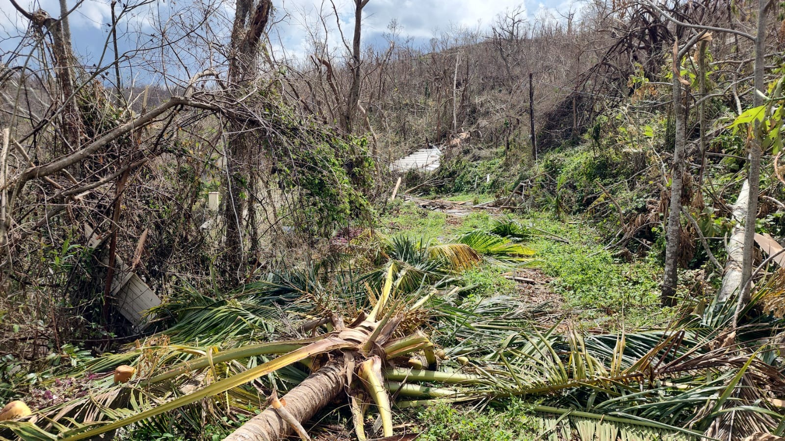 Help Rebuild Roberts Home After Hurricane Melissa campaign photo, 6 of 8