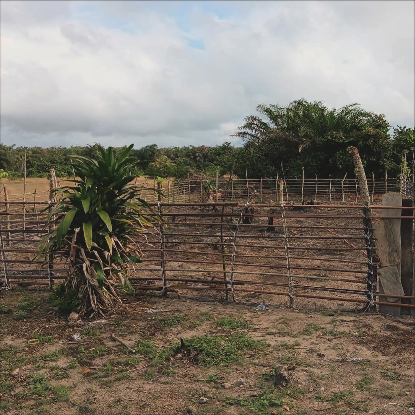 Help Butre community build independent Infrastructure campaign photo, 7 of 8