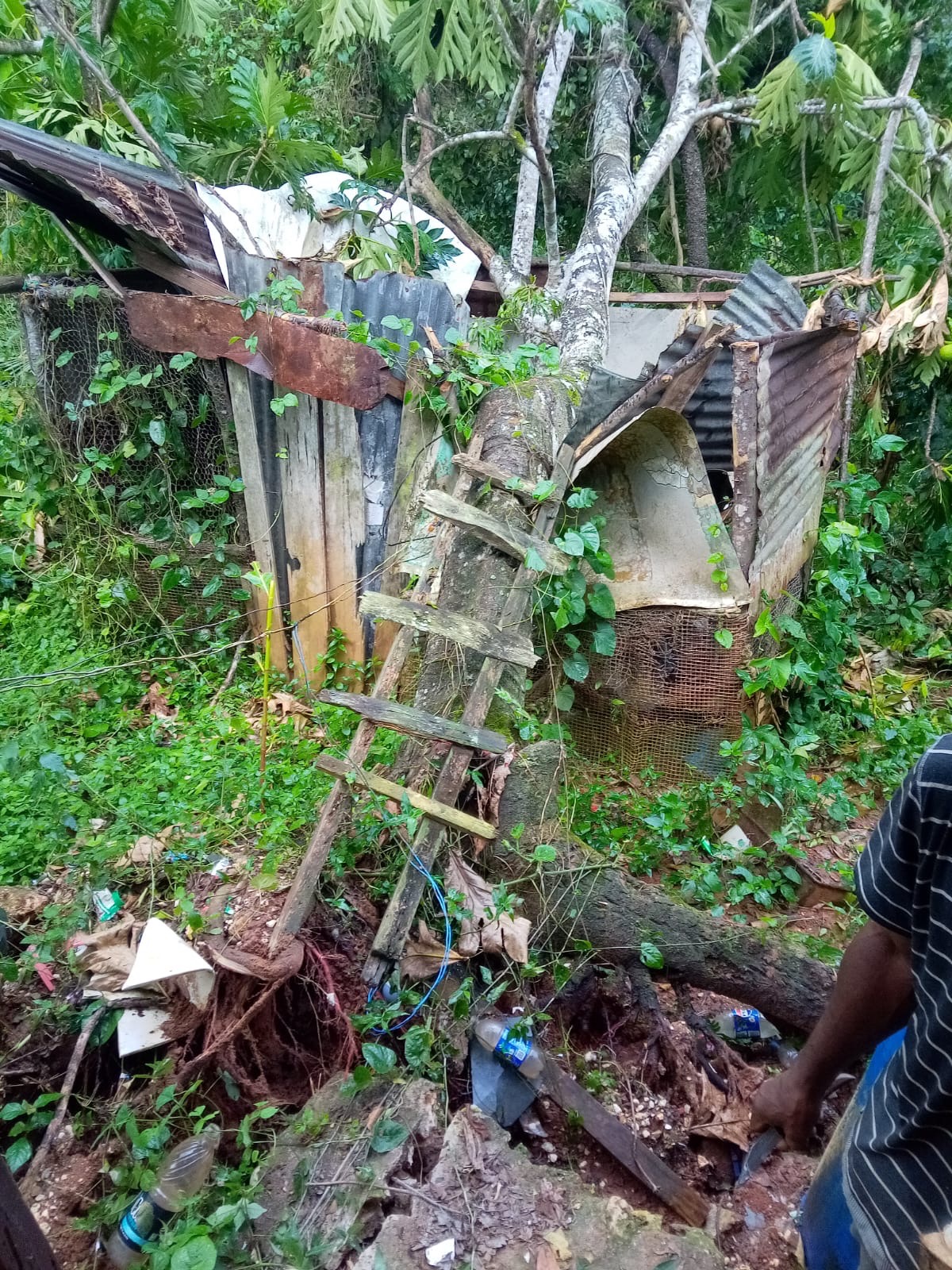 Help Jamaican Family Recover from Hurricane campaign photo, 5 of 7