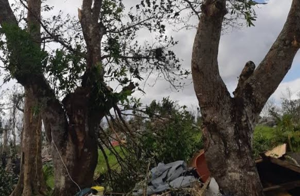 Helping restore safety and power after Hurricane campaign photo, 2 of 7