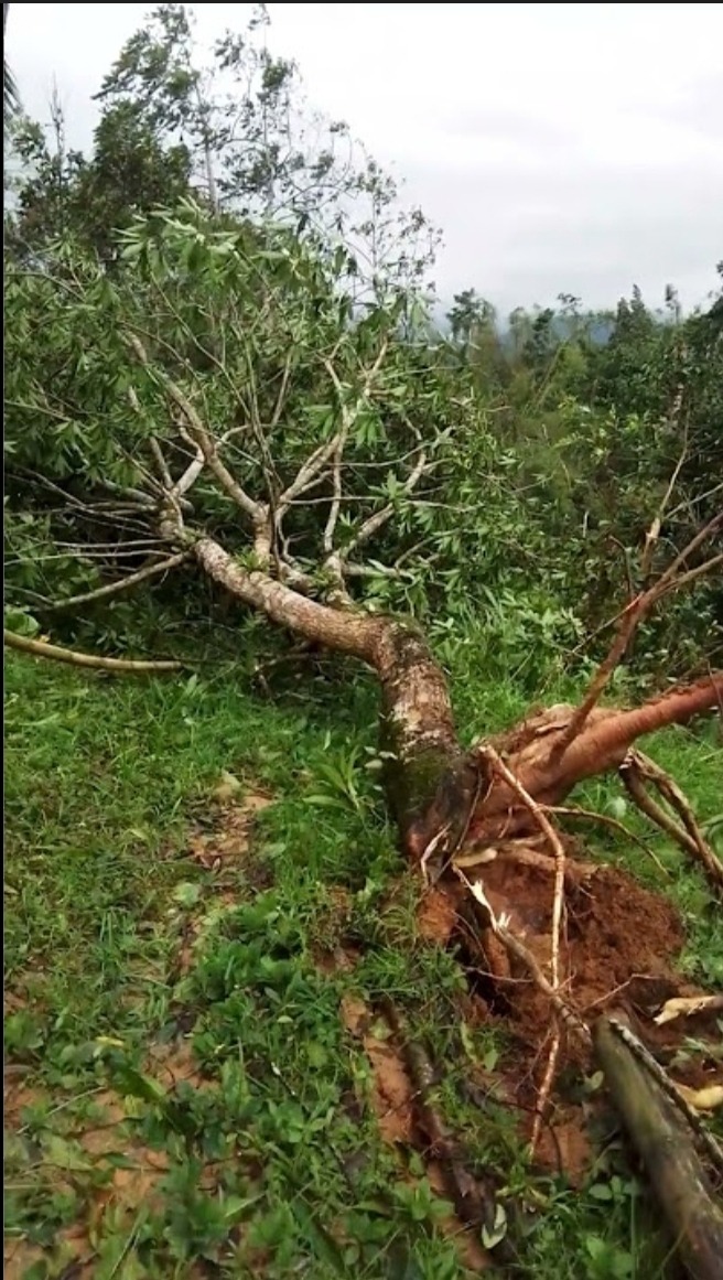 Helping restore safety and power after Hurricane campaign photo, 5 of 7