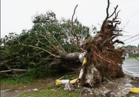 Helping restore safety and power after Hurricane campaign photo, 6 of 7