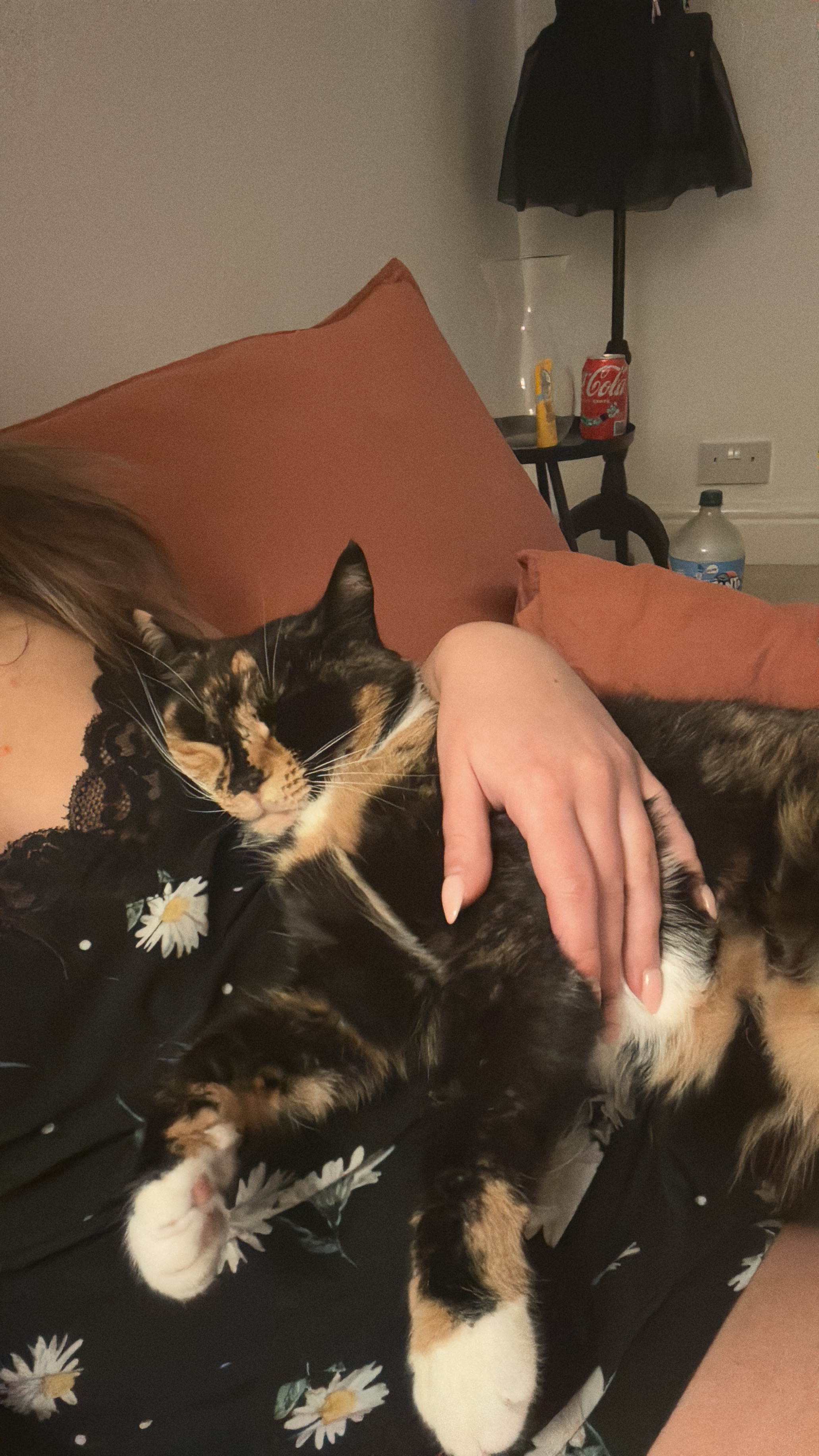 Please help me give Hazel a send off campaign photo, 2 of 6
