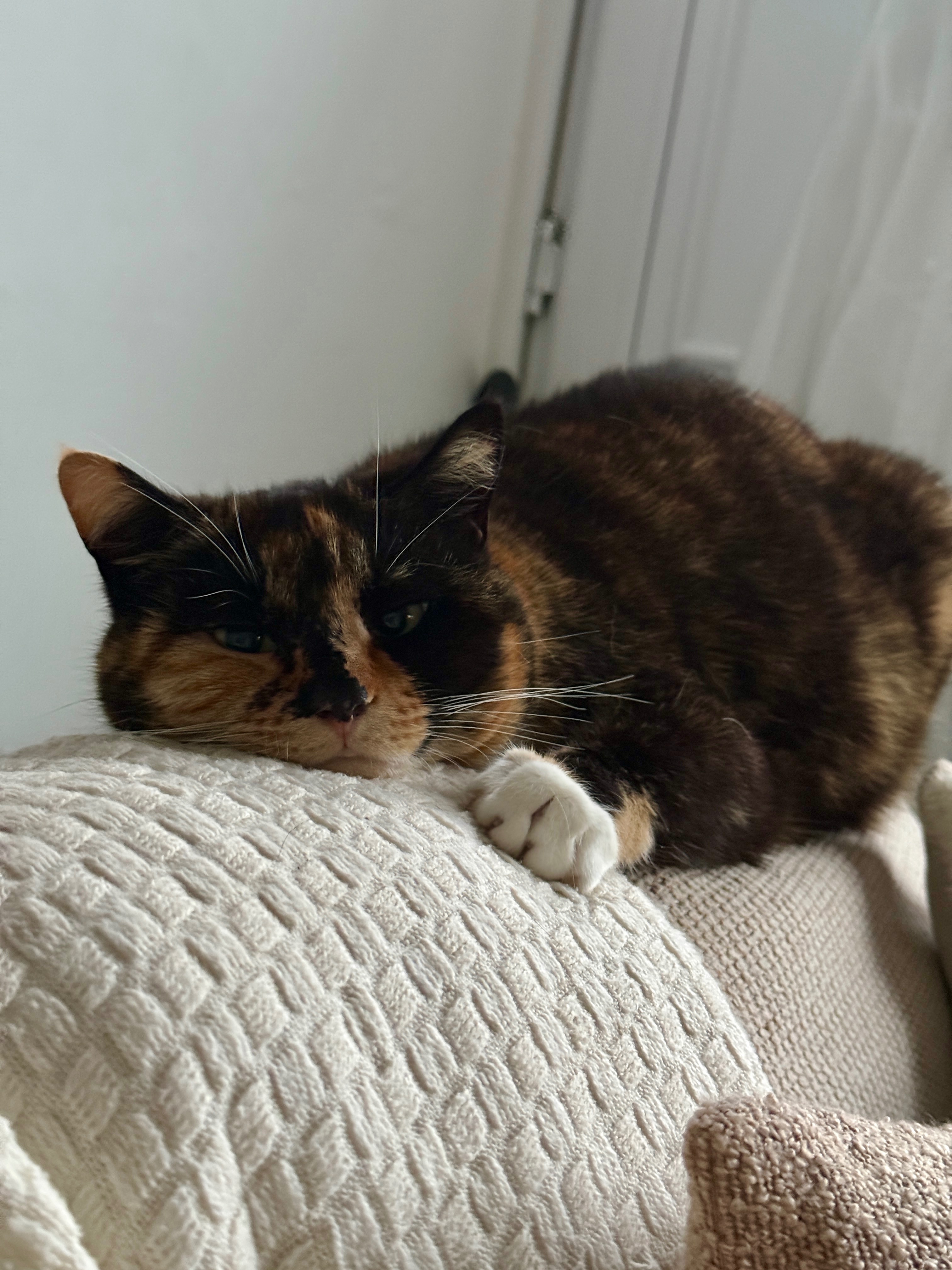 Please help me give Hazel a send off campaign photo, 5 of 6