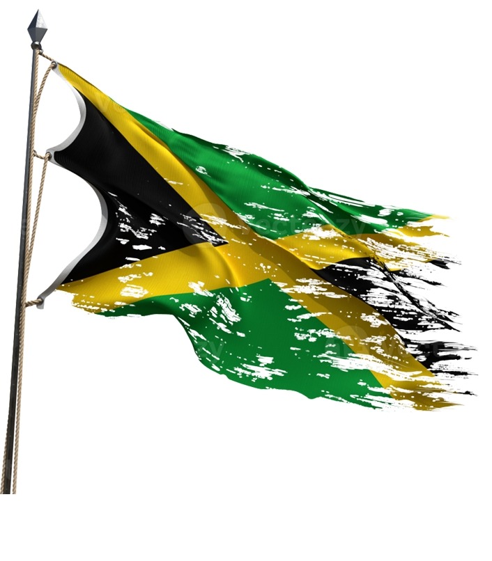 Support Jamaica: Essential Materials for Recovery campaign photo, 2 of 4