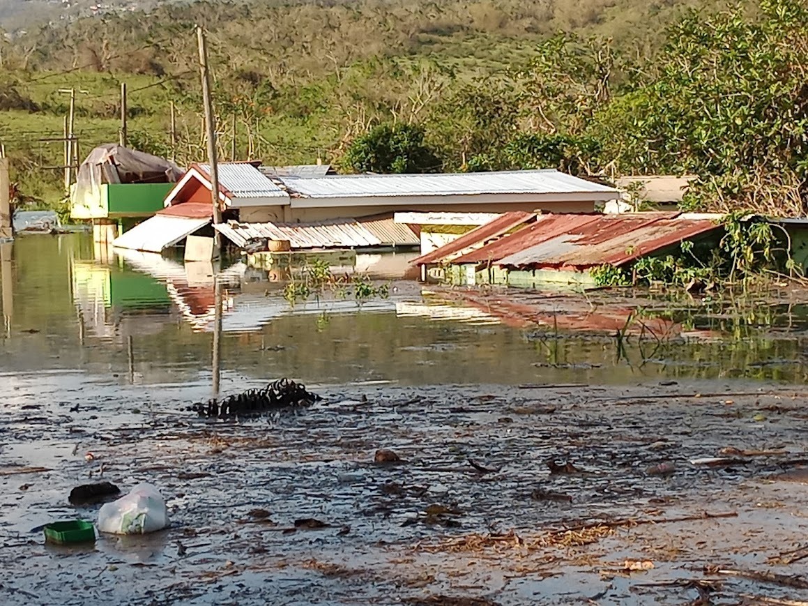 Jamaican Disaster Relief campaign photo, 6 of 7