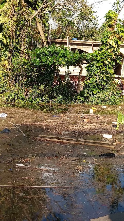 Jamaican Disaster Relief campaign photo, 2 of 7