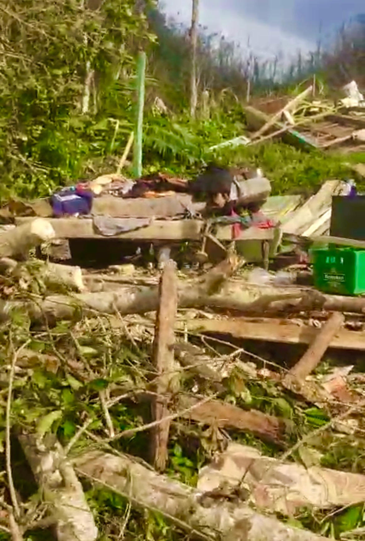 Help us rebuild after hurricane Melisa. campaign photo, 5 of 8