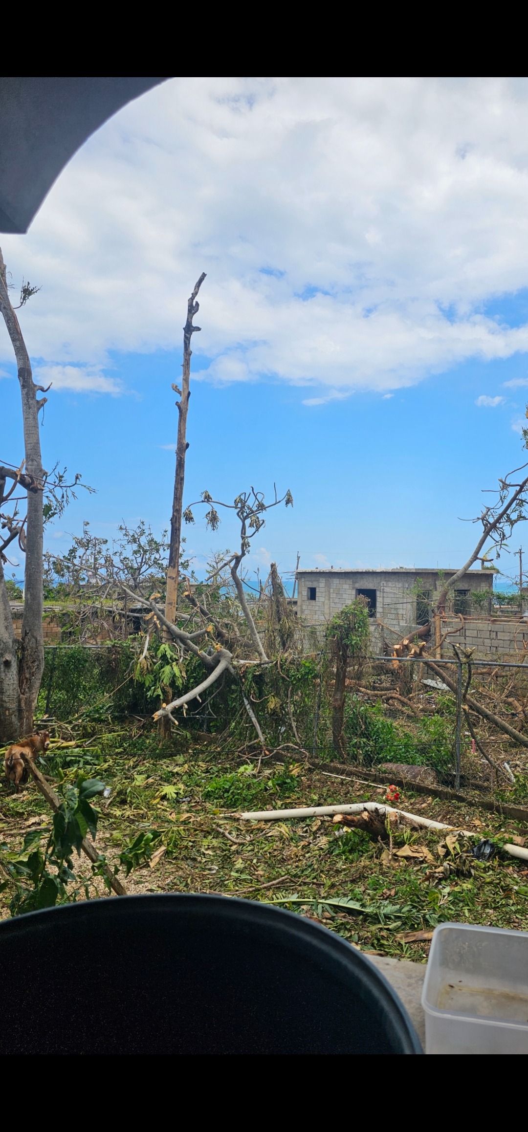 Please help my family in Jamaica rebuild after the hurricane campaign photo, 7 of 8