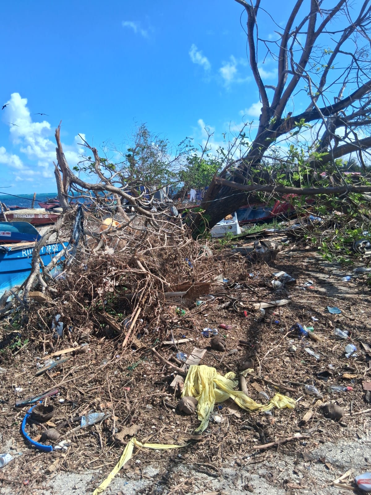 Please help my family in Jamaica rebuild after the hurricane campaign photo, 5 of 8