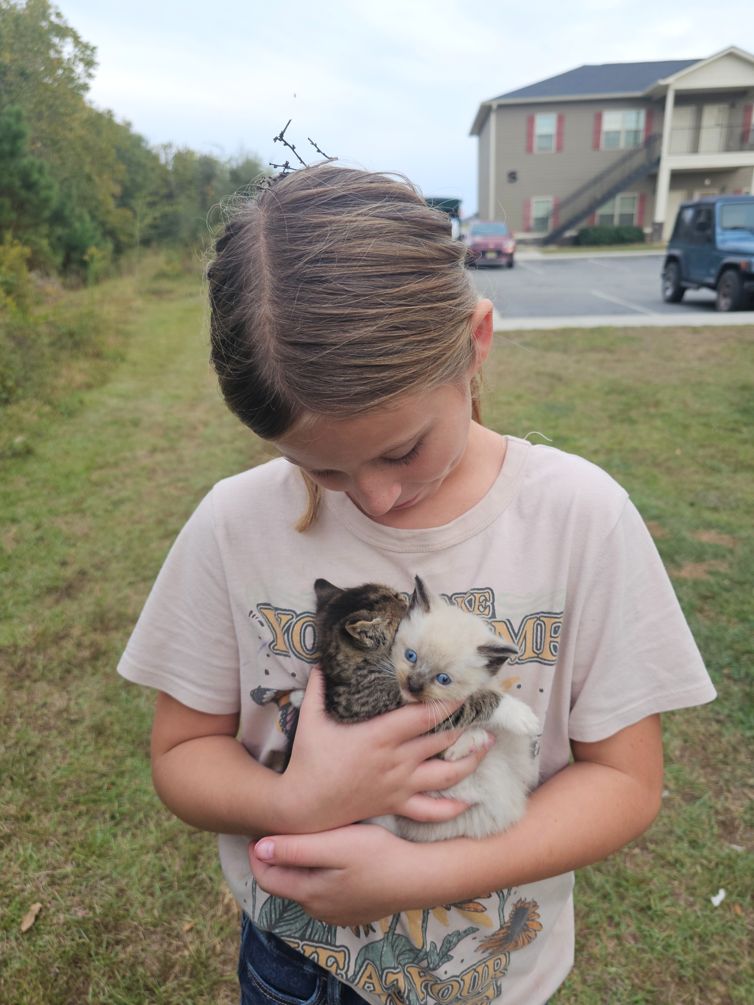 Support an 11 Year Old's Mission to Help Local Feral Cats. campaign photo, 4 of 8
