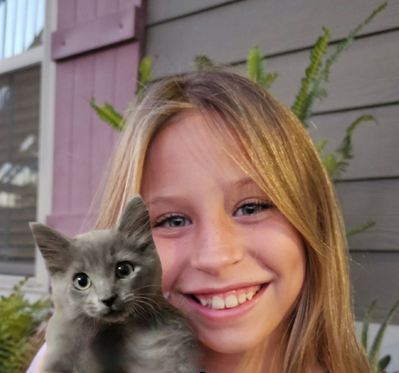 Support an 11 Year Old's Mission to Help Local Feral Cats. campaign photo, 5 of 8