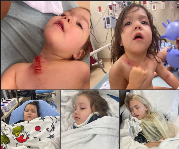 Help Nykii's Children Heal After Car Accident campaign photo, 2 of 4
