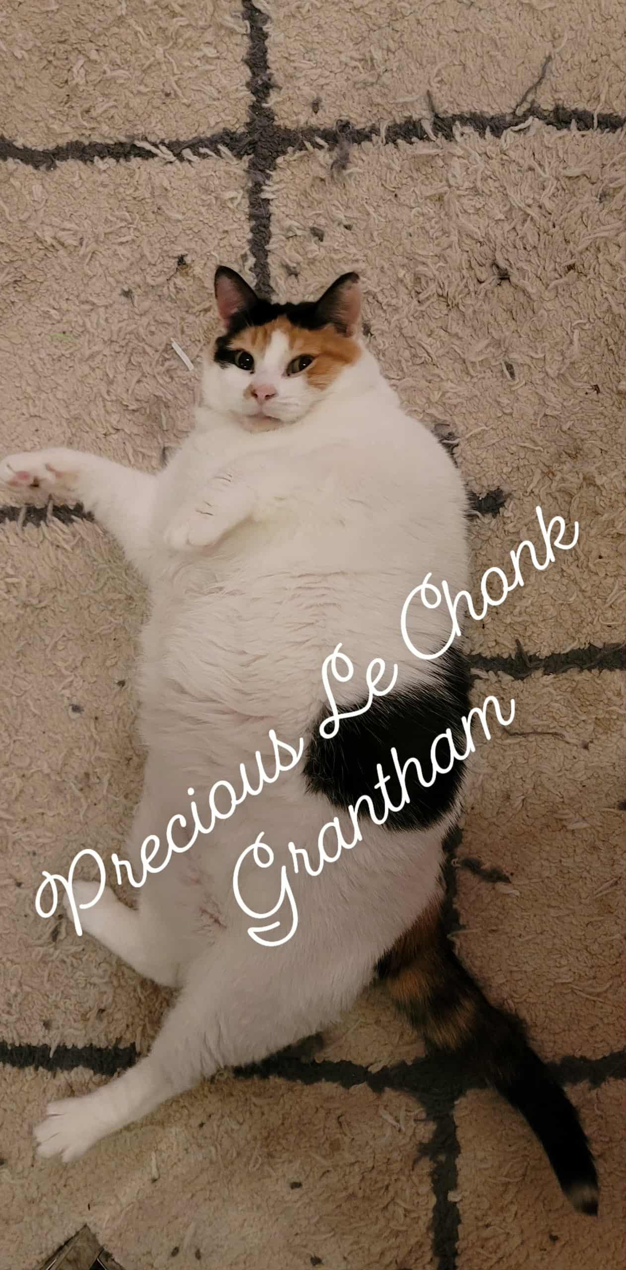 Help Precious Get the Surgery She Deserves campaign photo, 2 of 8