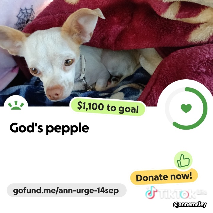 Donate to Give Ann, Kevin, and Sadie a Warm Home campaign photo, 6 of 7
