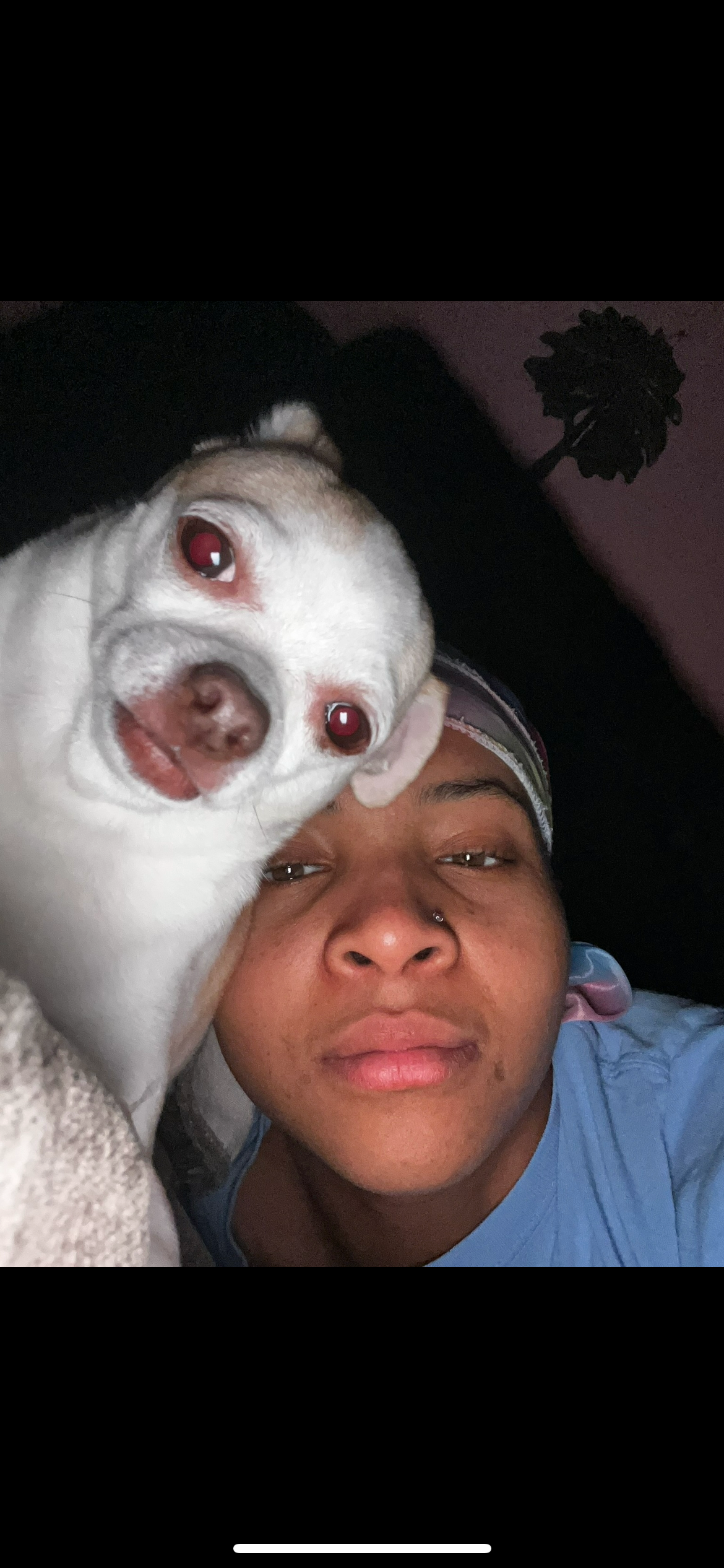 Support Pupper's Surgery for a Pain-Free Life campaign photo, 4 of 7