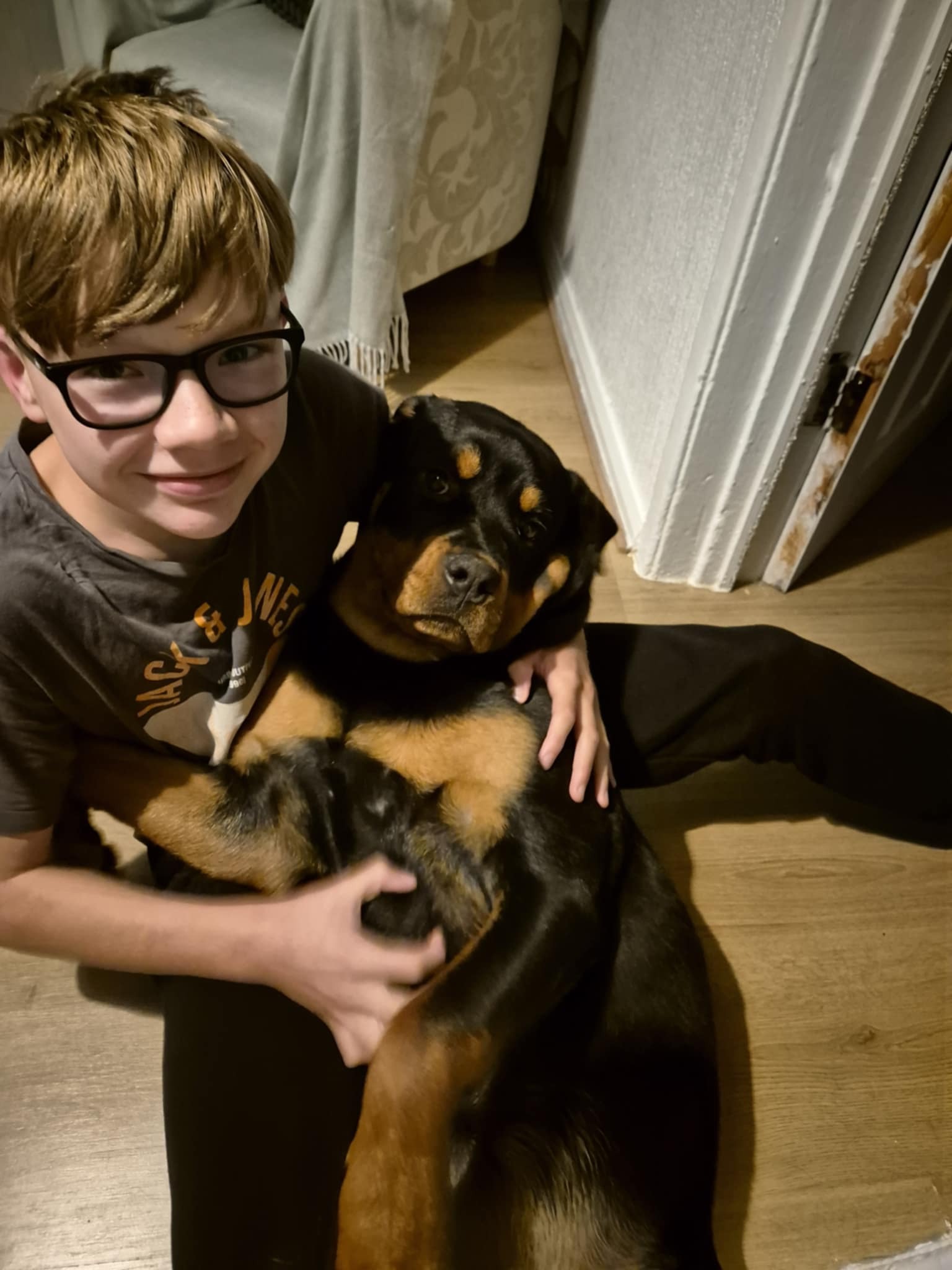 Help Luna through surgery campaign photo, 4 of 8