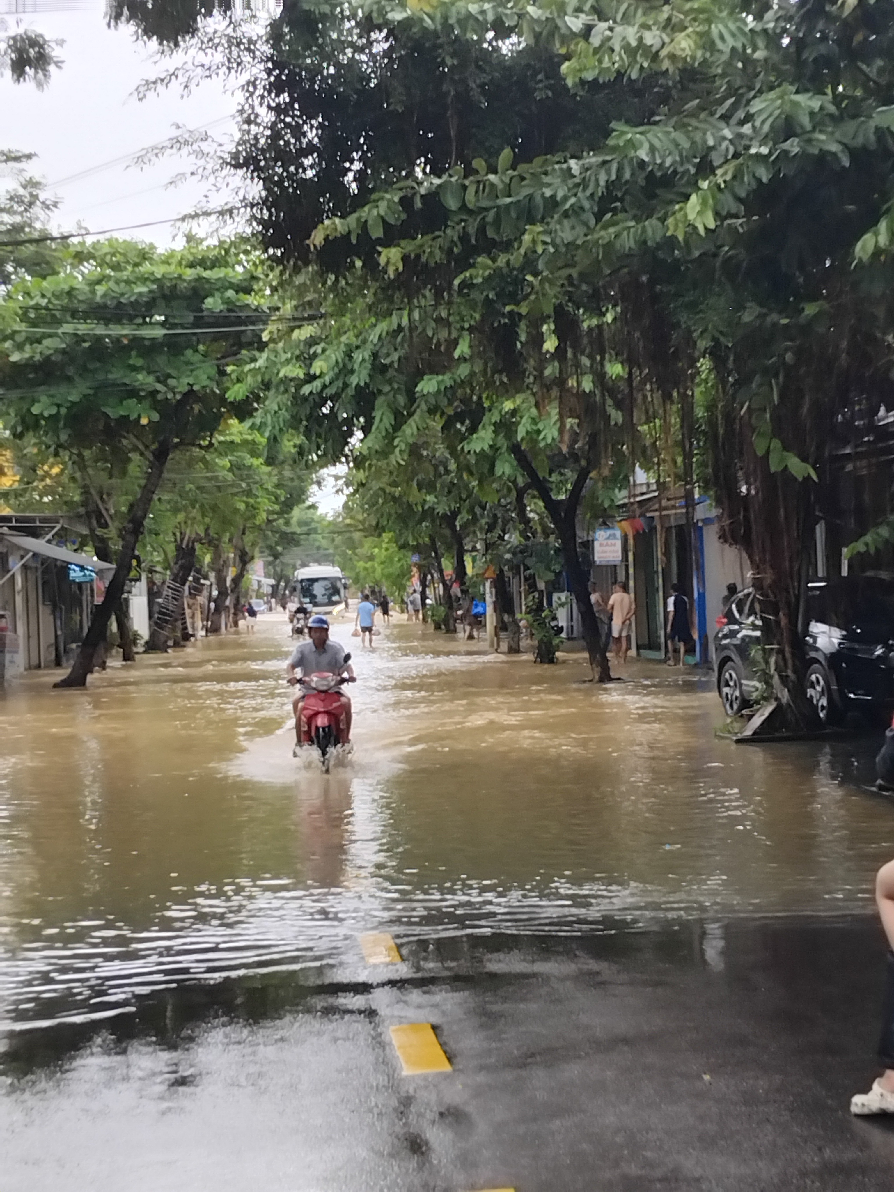 HOI AN (VIETNAM) FLOOD RELIEF EFFORT campaign photo, 2 of 7