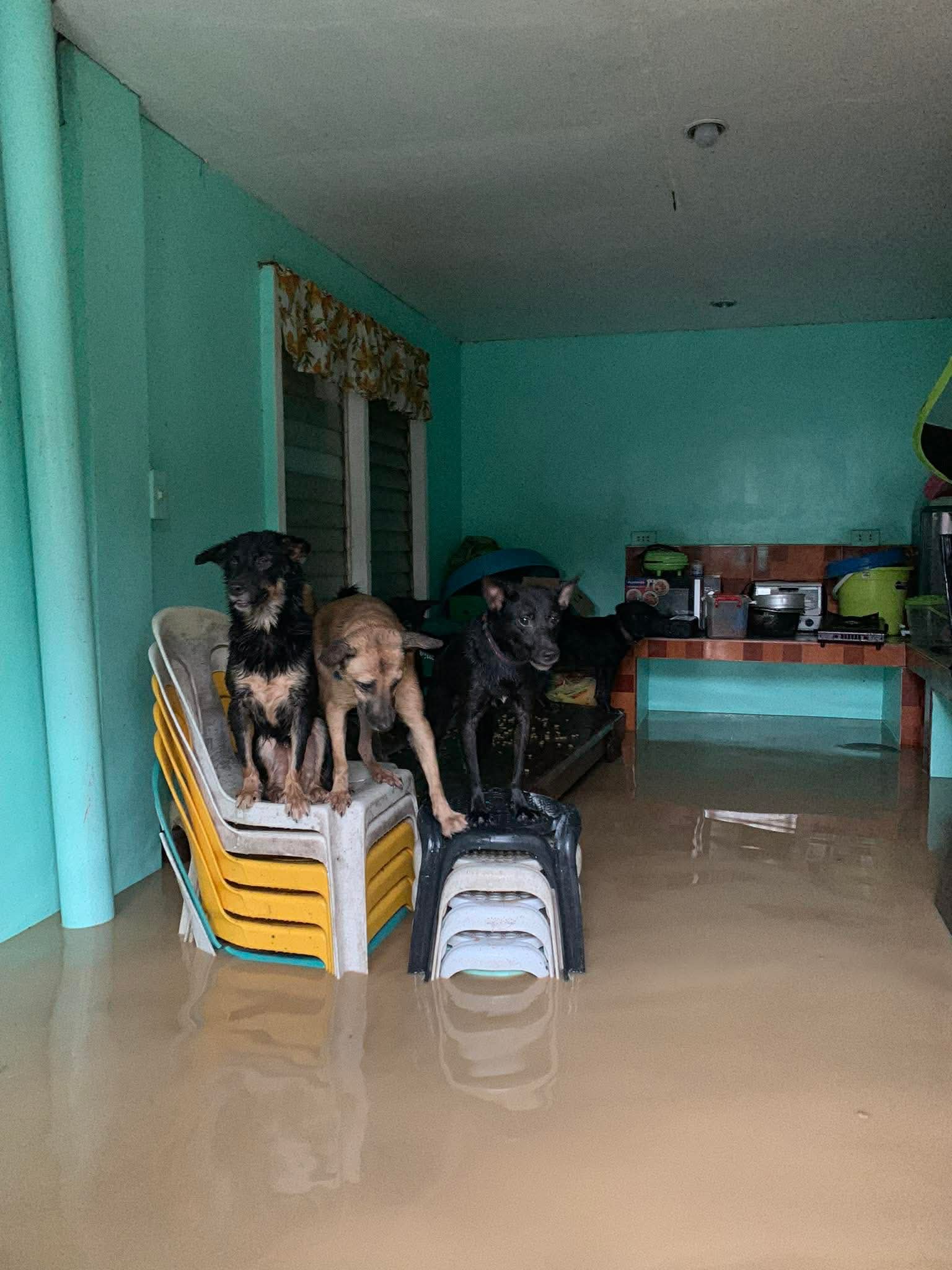 Hilfe für meine Familie auf den Philippinen nach Taifun campaign photo, 6 of 8