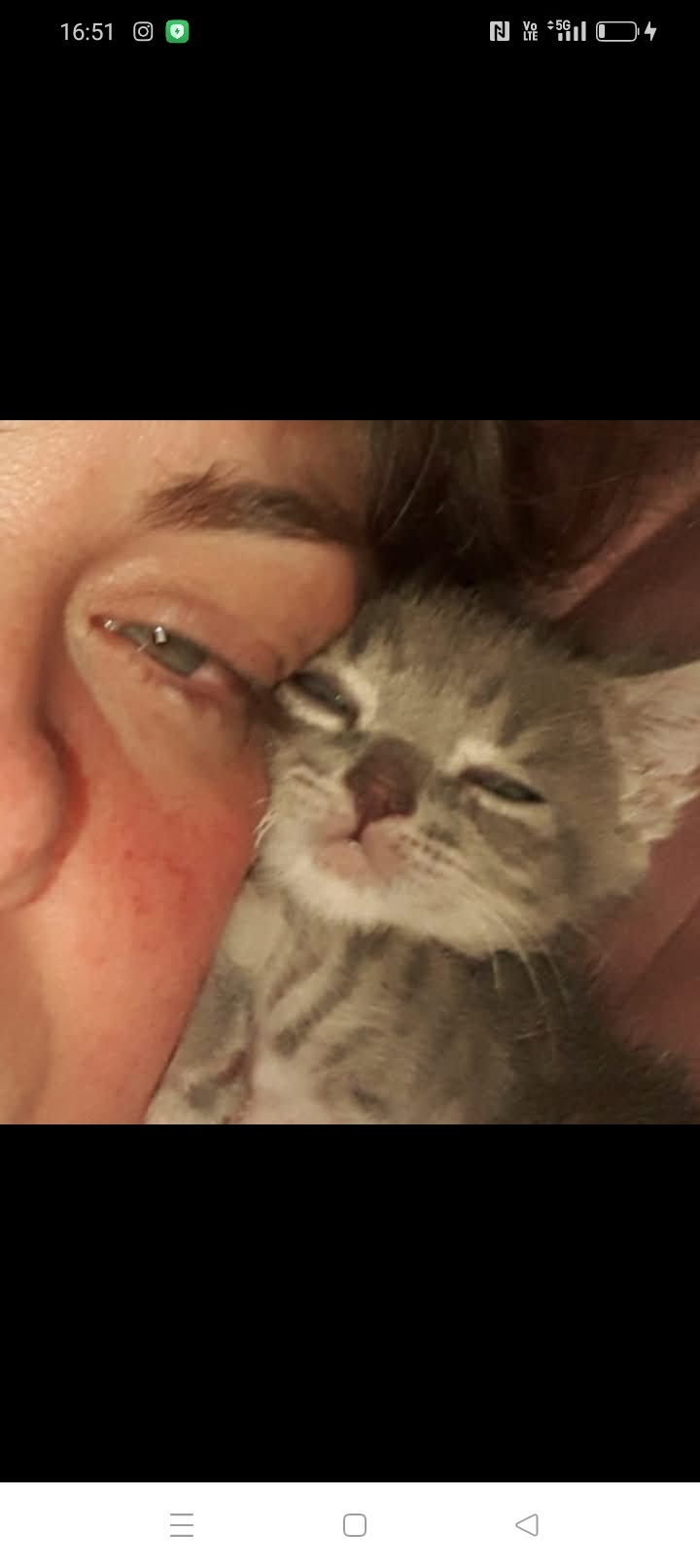 Una casetta per i miei animali campaign photo, 7 of 8