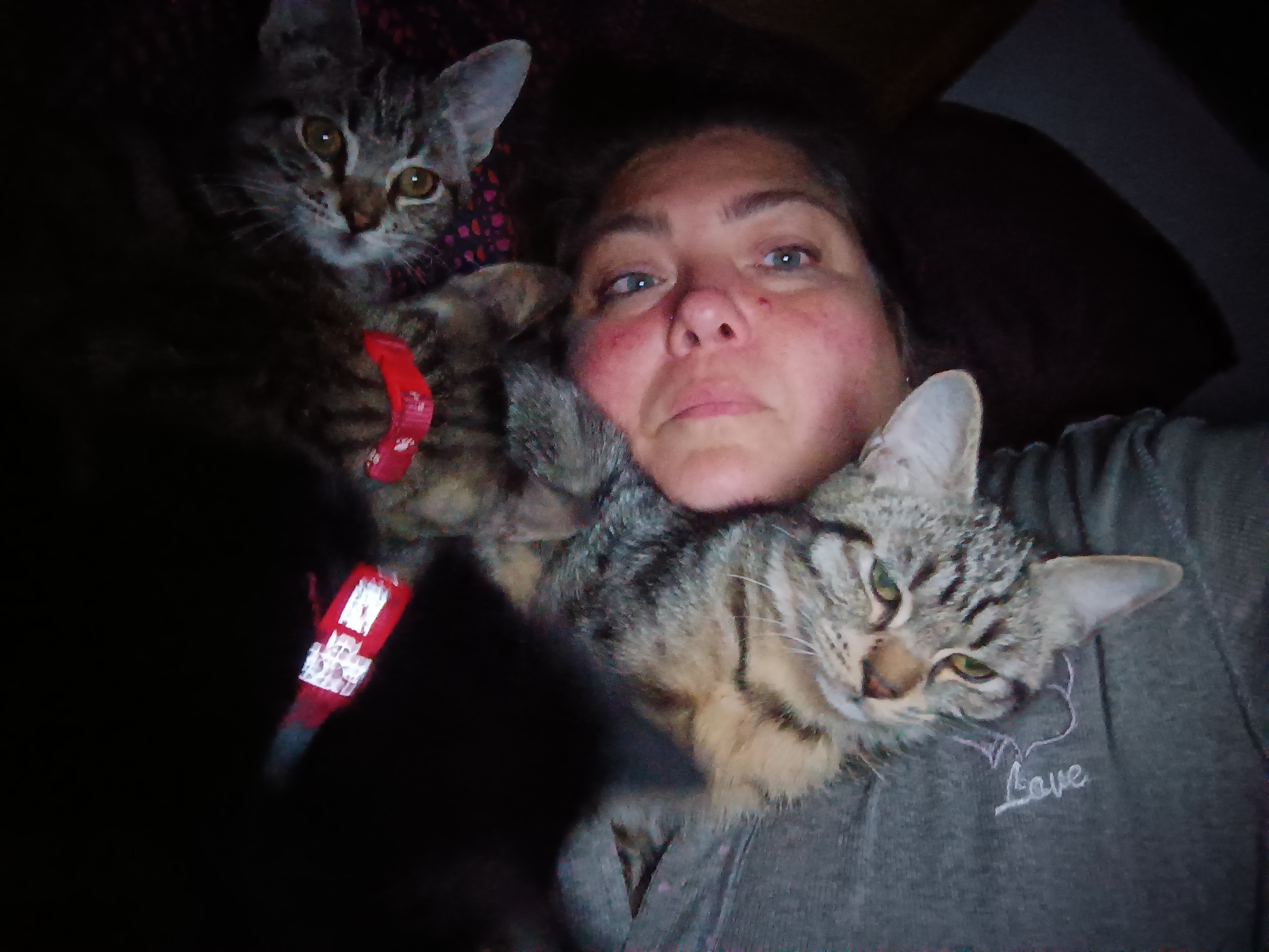 Una casetta per i miei animali campaign photo, 5 of 8
