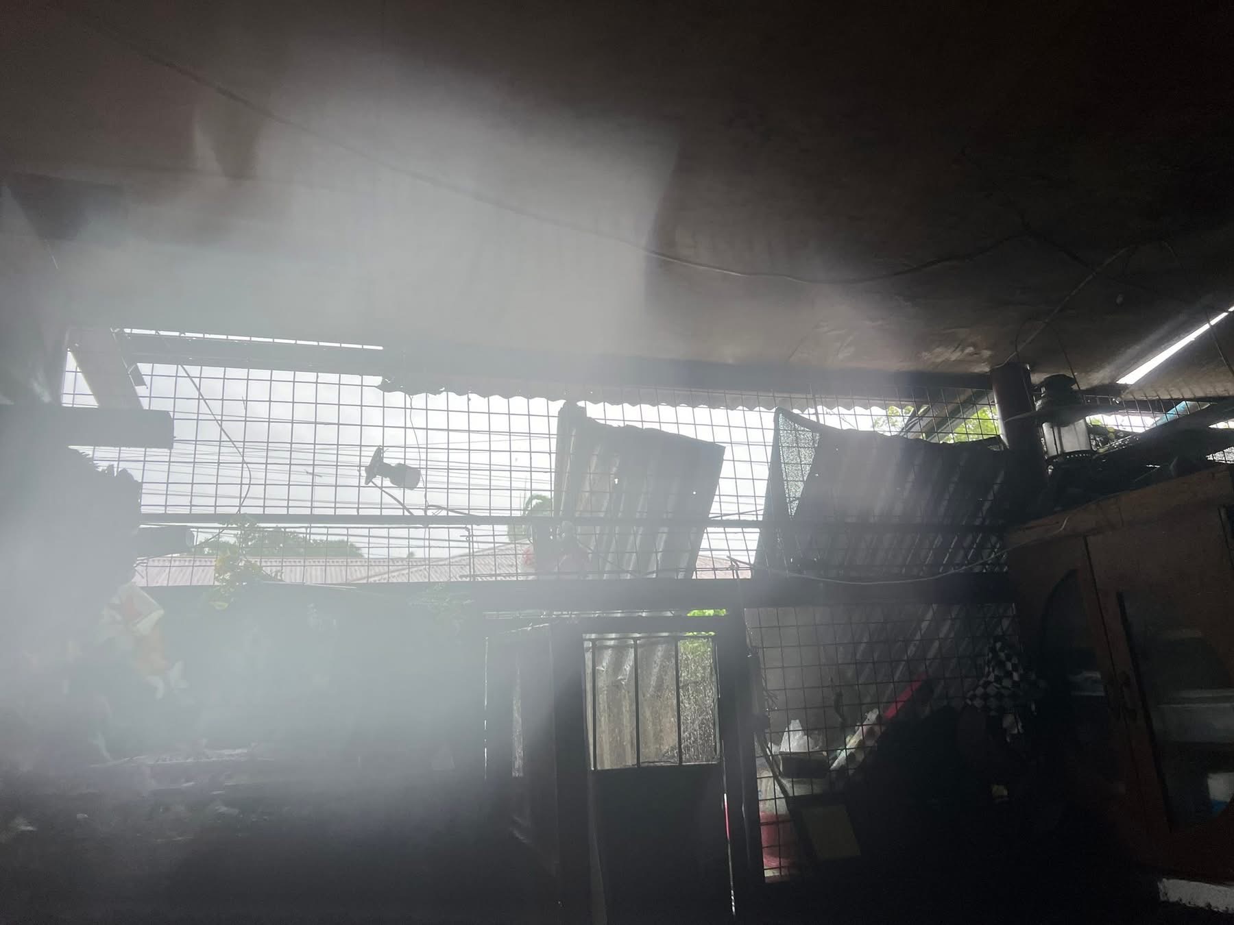 Help My Community Affected by Typhoon Tino campaign photo, 7 of 8