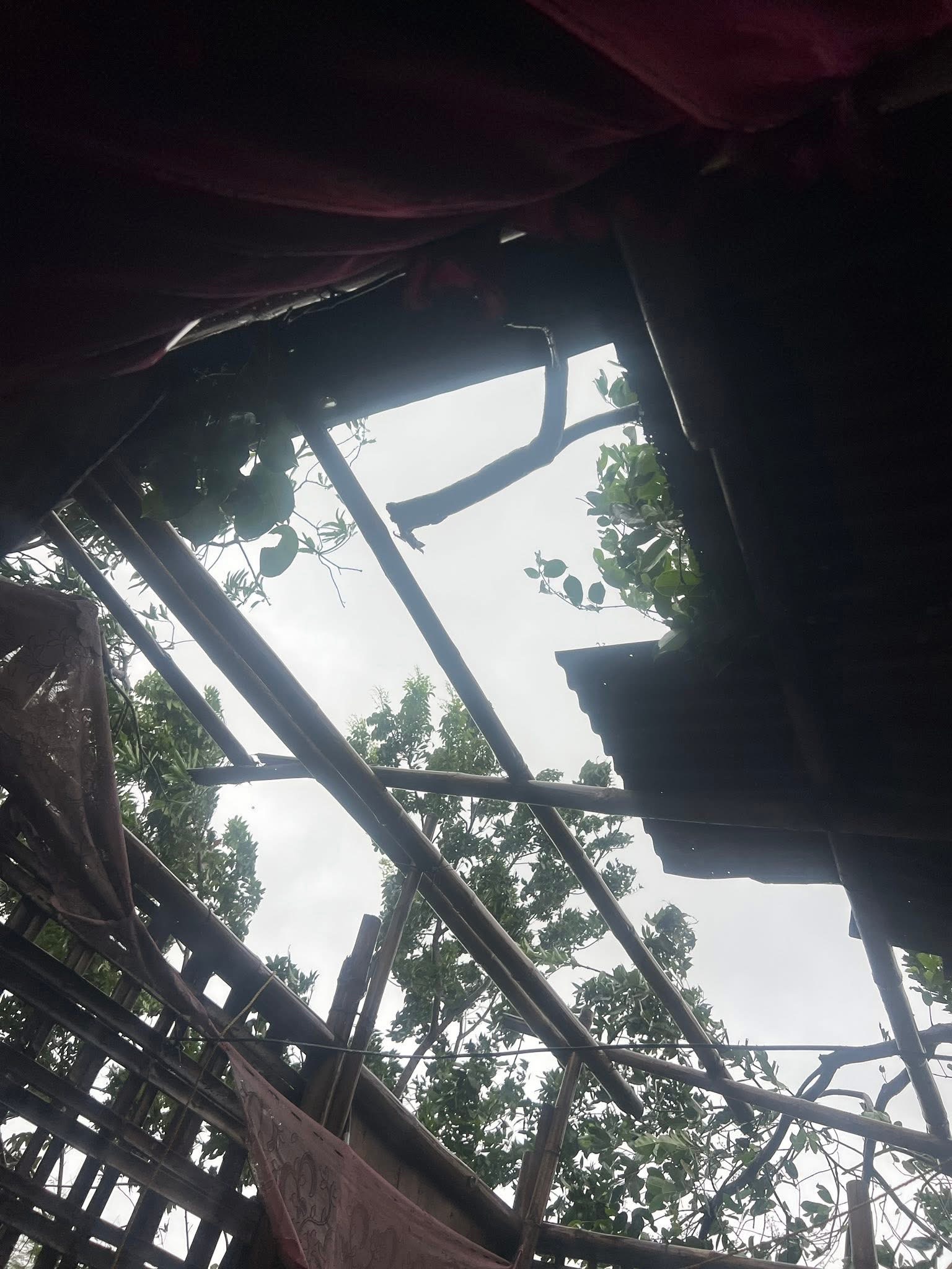 Help My Community Affected by Typhoon Tino campaign photo, 4 of 8