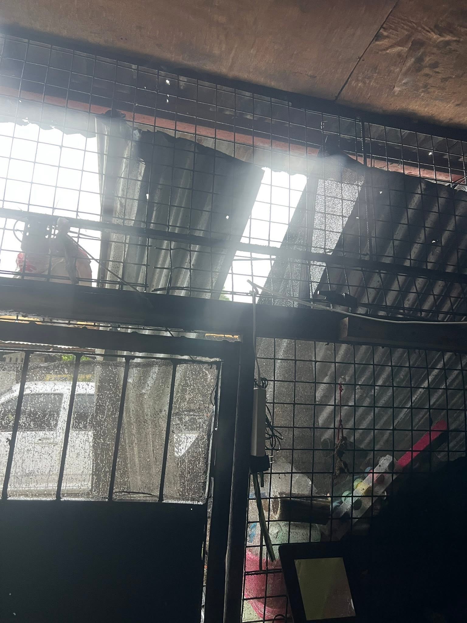 Help My Community Affected by Typhoon Tino campaign photo, 6 of 8