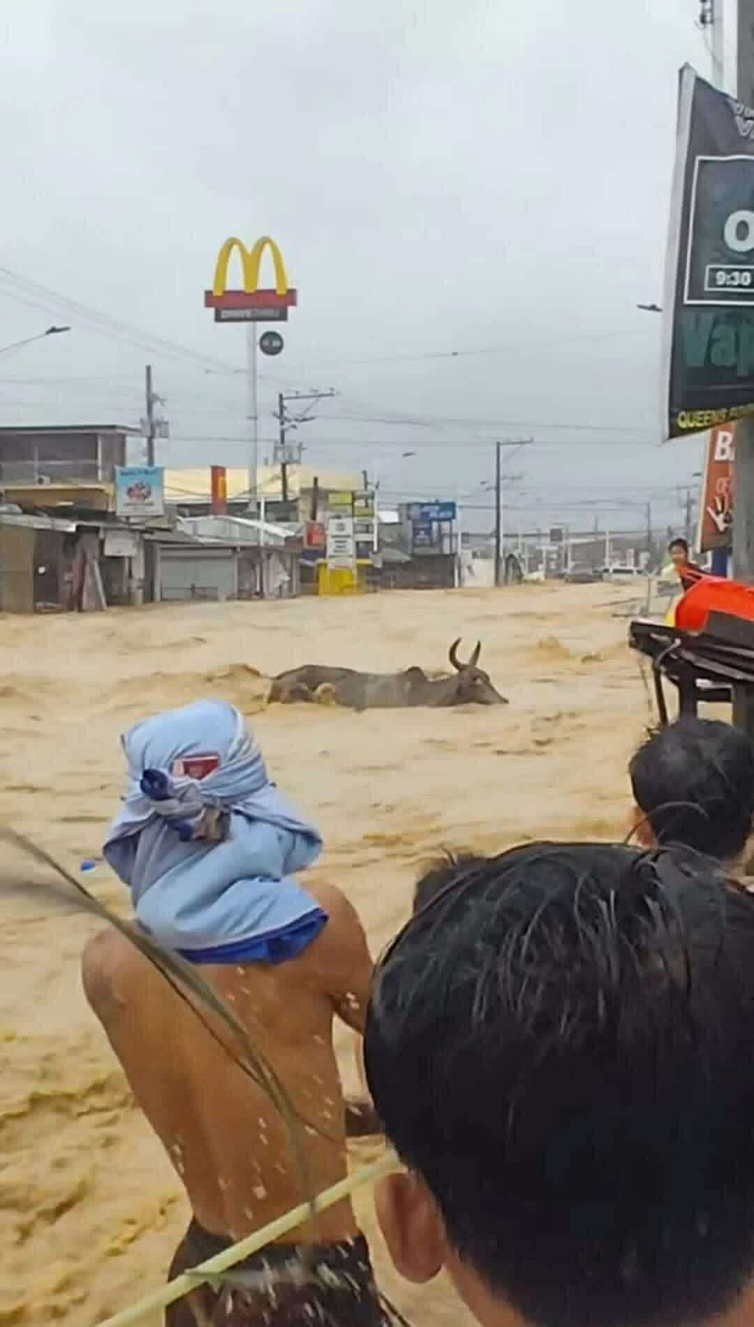 Relief Fund for my province affected by Storm Tino campaign photo, 4 of 8