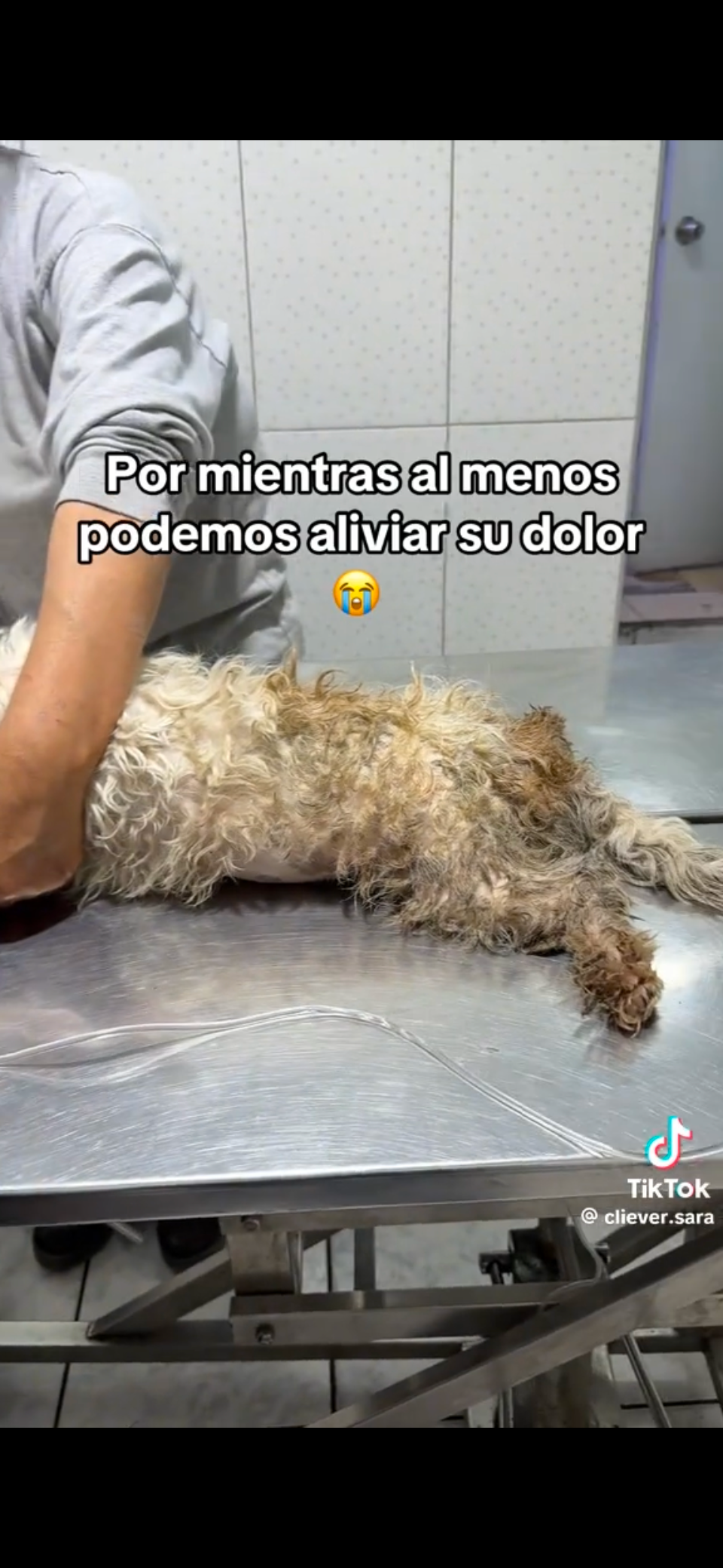 Ayuda urgente para operar a algondocito. No lo abandones tu! campaign photo, 7 of 7
