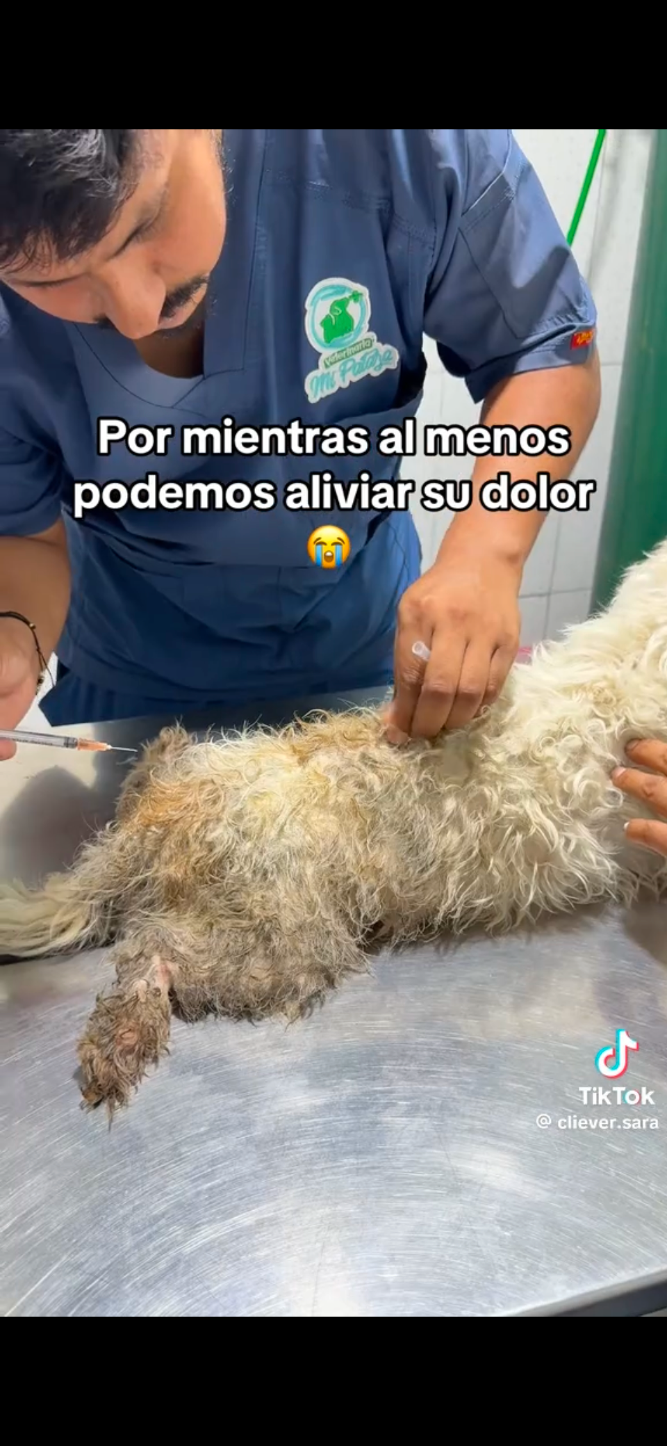 Ayuda urgente para operar a algondocito. No lo abandones tu! campaign photo, 2 of 7