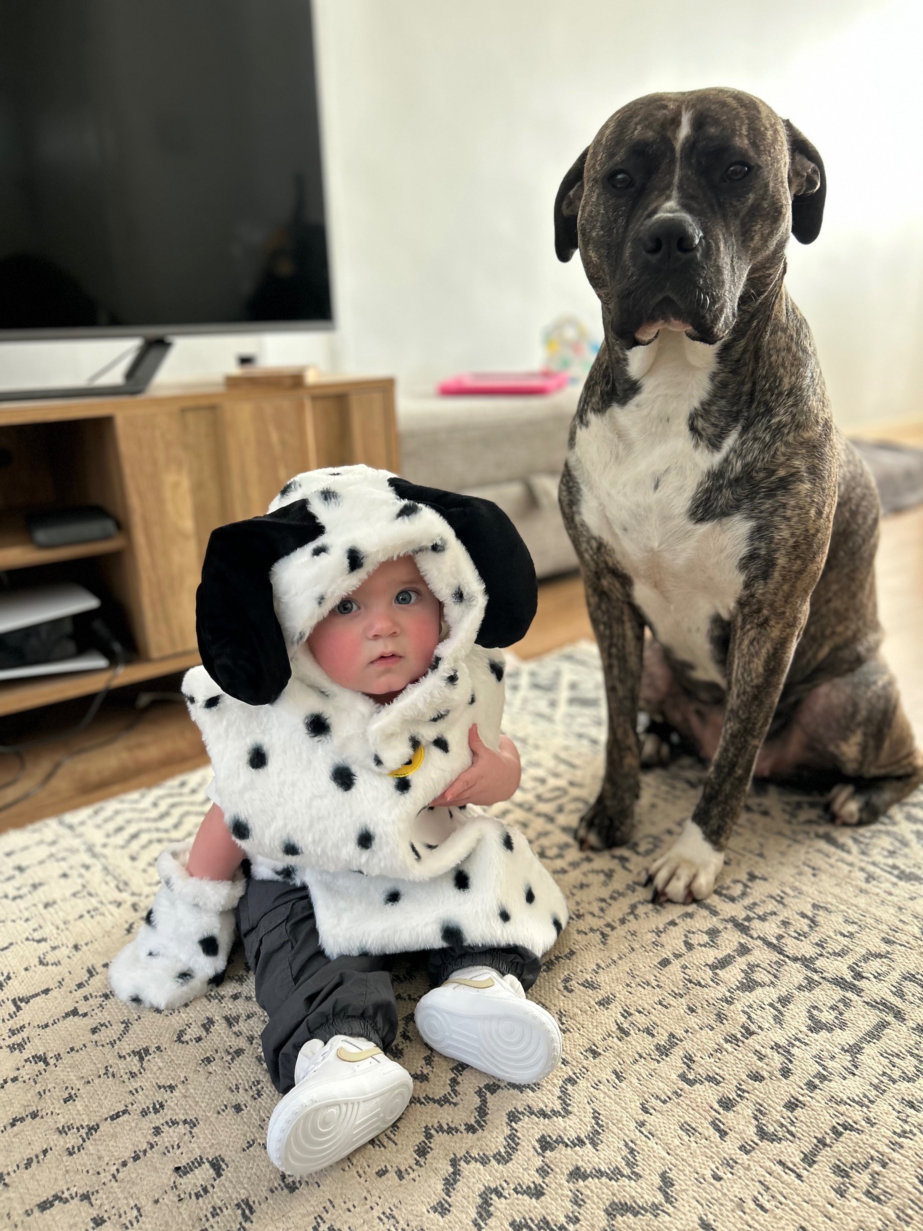Help Luna get back on her feet for Christmas campaign photo, 2 of 8