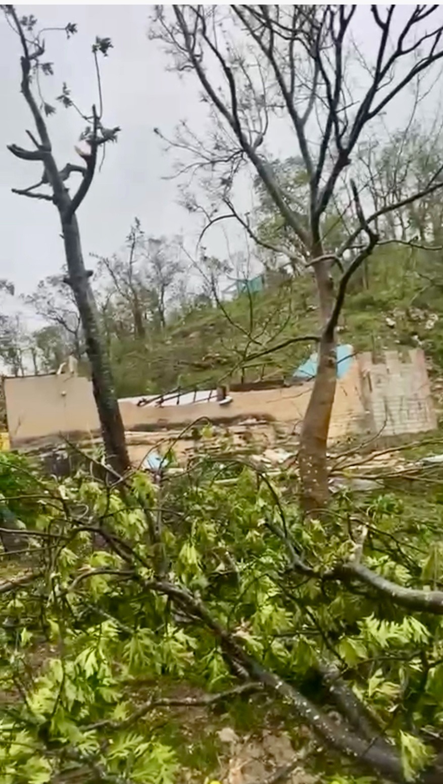 Help Anna Rebuild After Hurricane Melissa campaign photo, 4 of 5