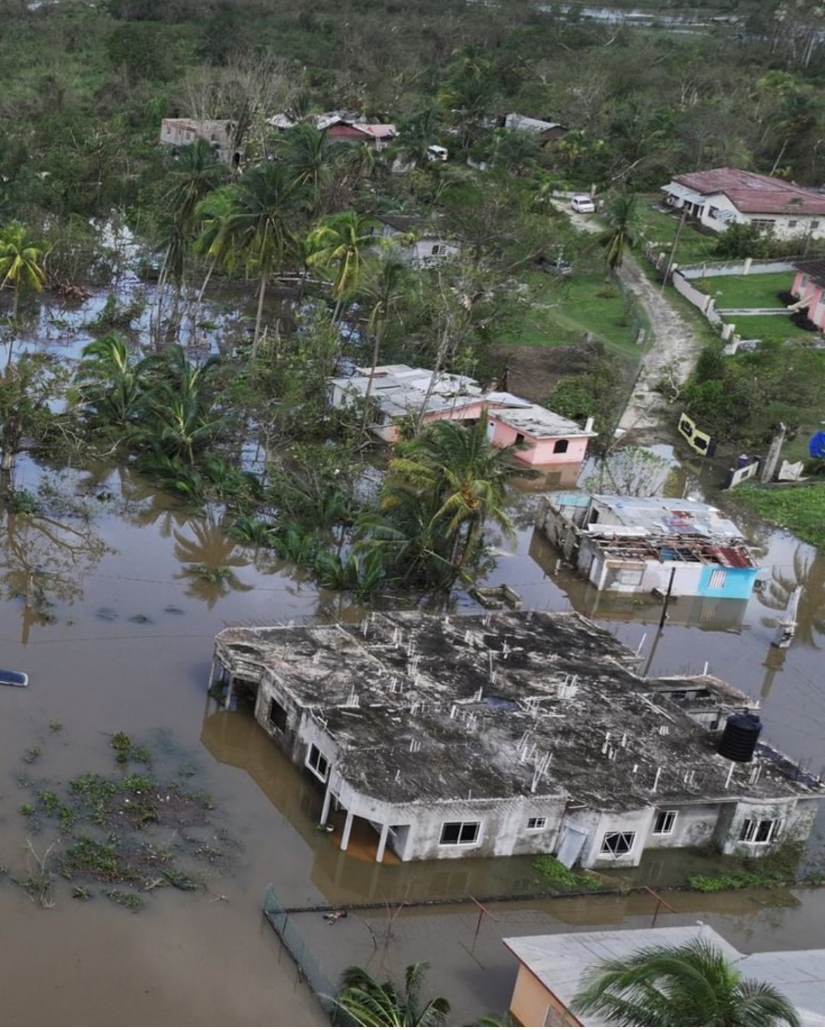 Help Jamaica Rise Again After Hurricane Melissa campaign photo, 6 of 8