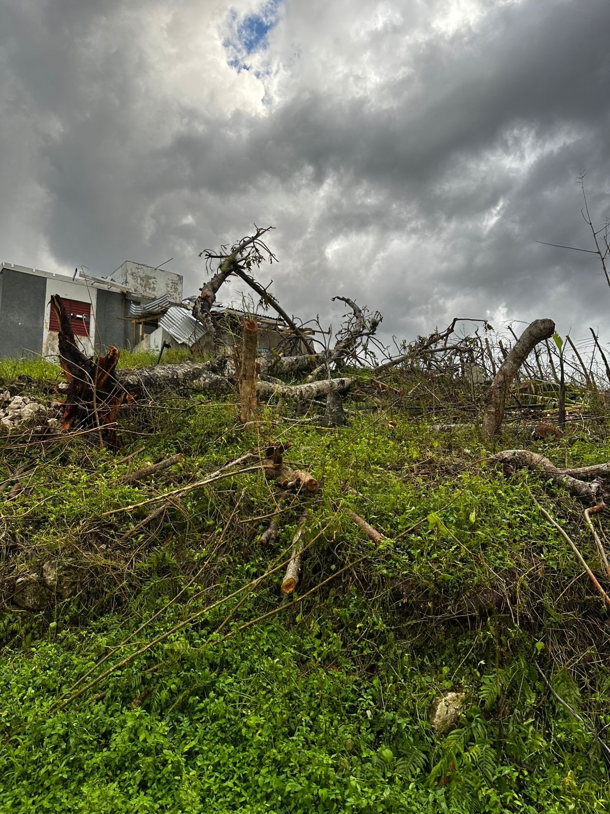 Support Lennox Bigwoods Families in Rebuilding their Homes campaign photo, 7 of 8