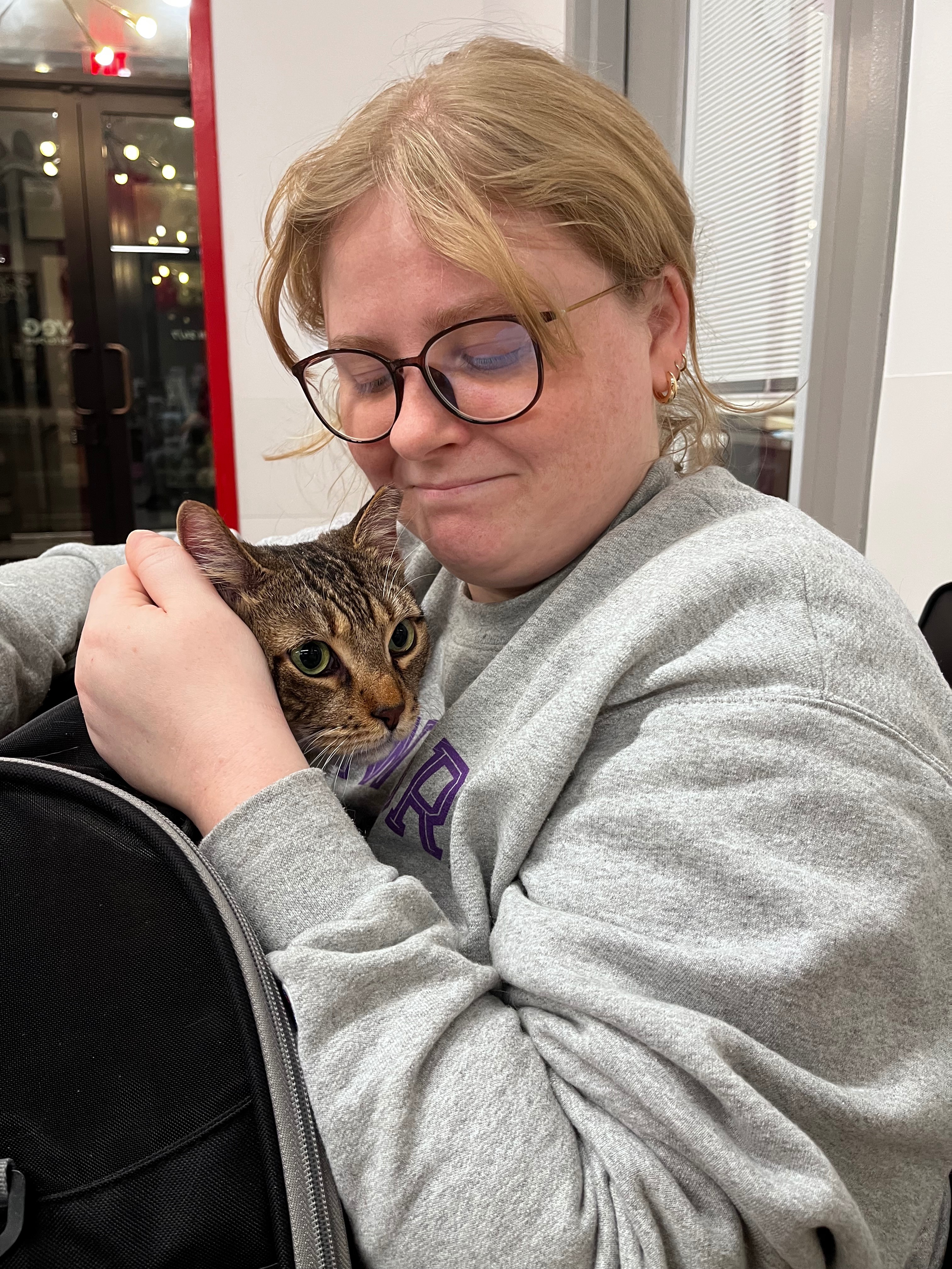 Help Greg the Cat (and his parents) Recover from His Surgery campaign photo, 2 of 6