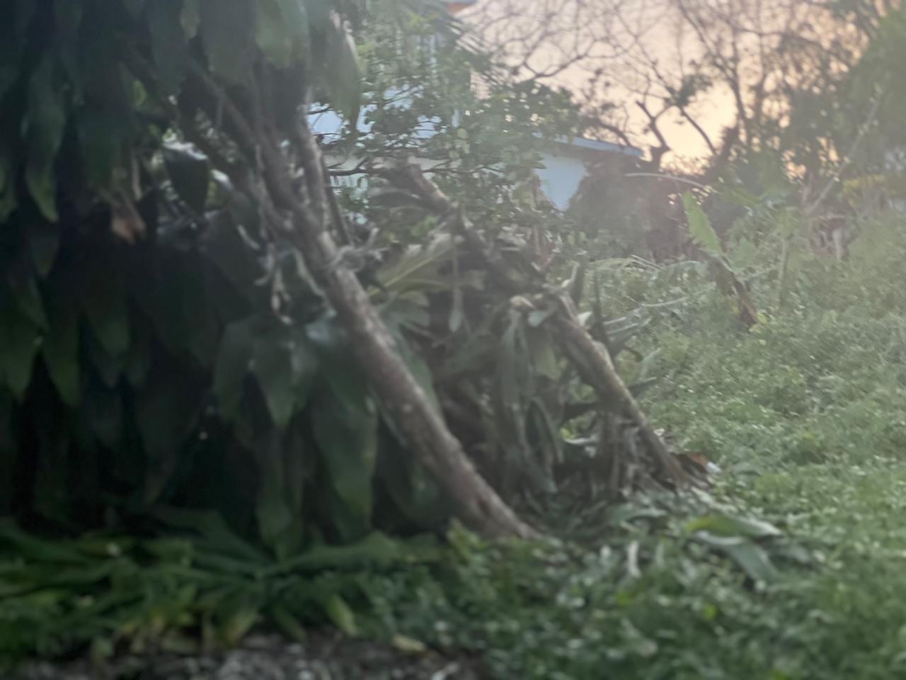 Help Damion Rebuild After Hurricane Melissa campaign photo, 2 of 4