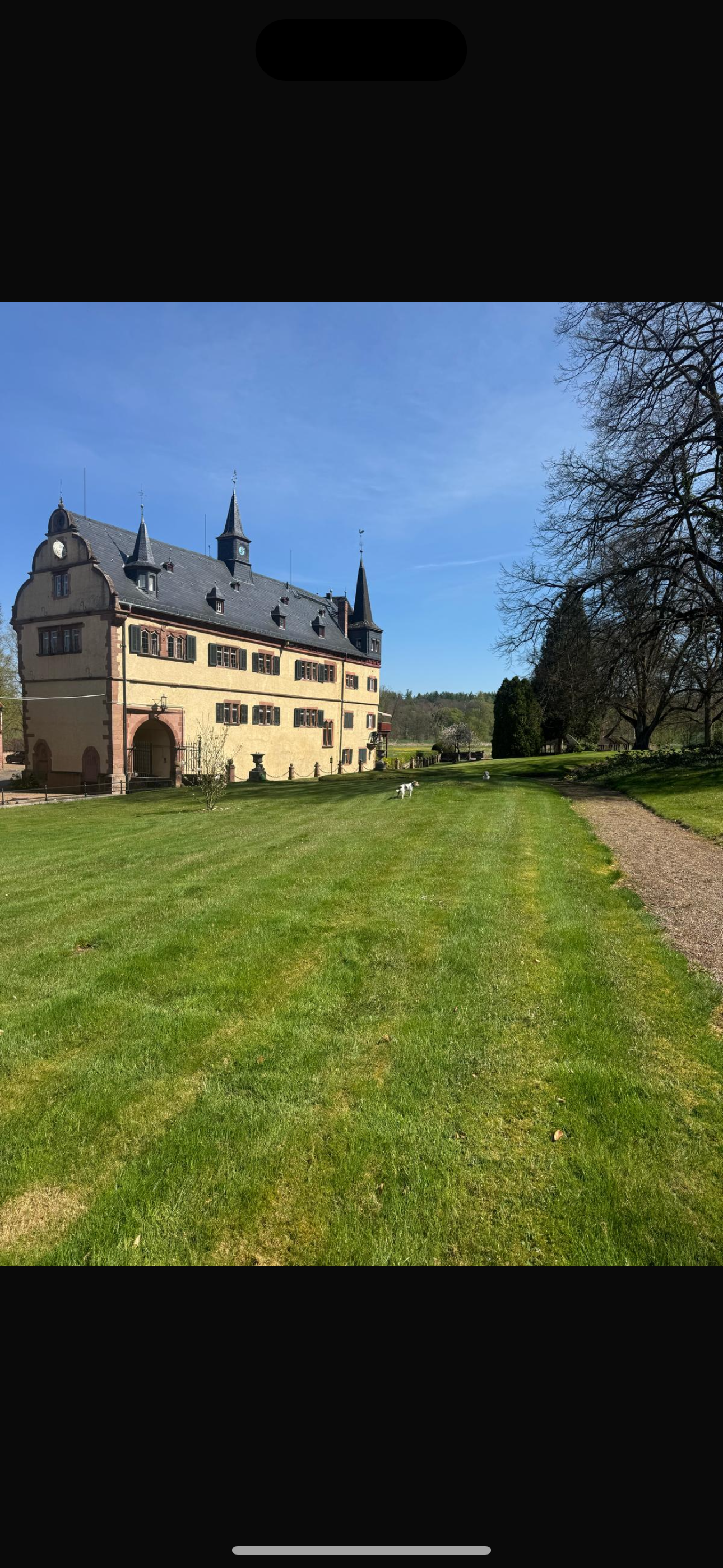 Hilfe für Schloss Plausdorf , Help for Plausdorf campaign photo, 2 of 8