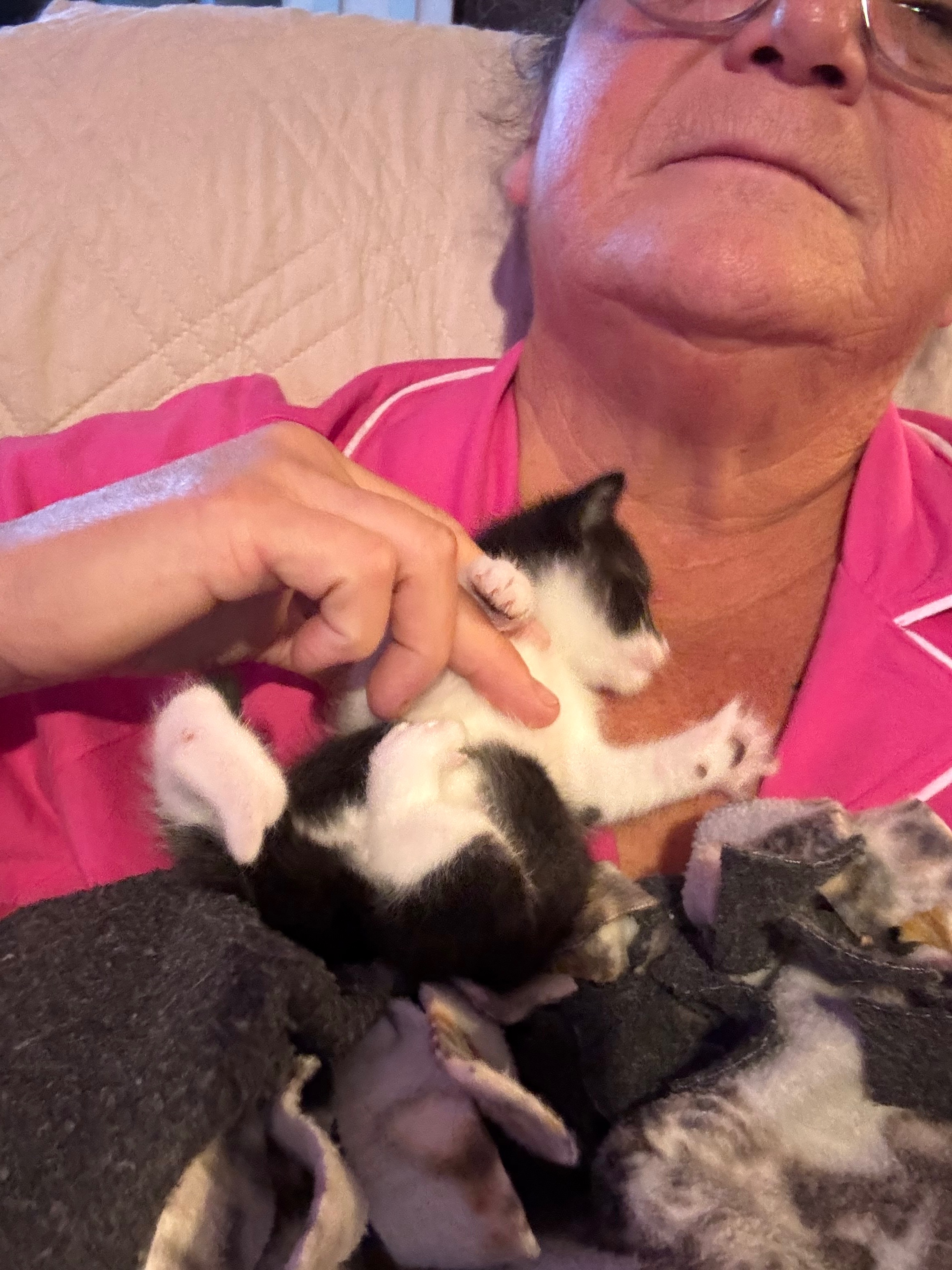 Support Xena's Journey to a Full Life campaign photo, 5 of 8