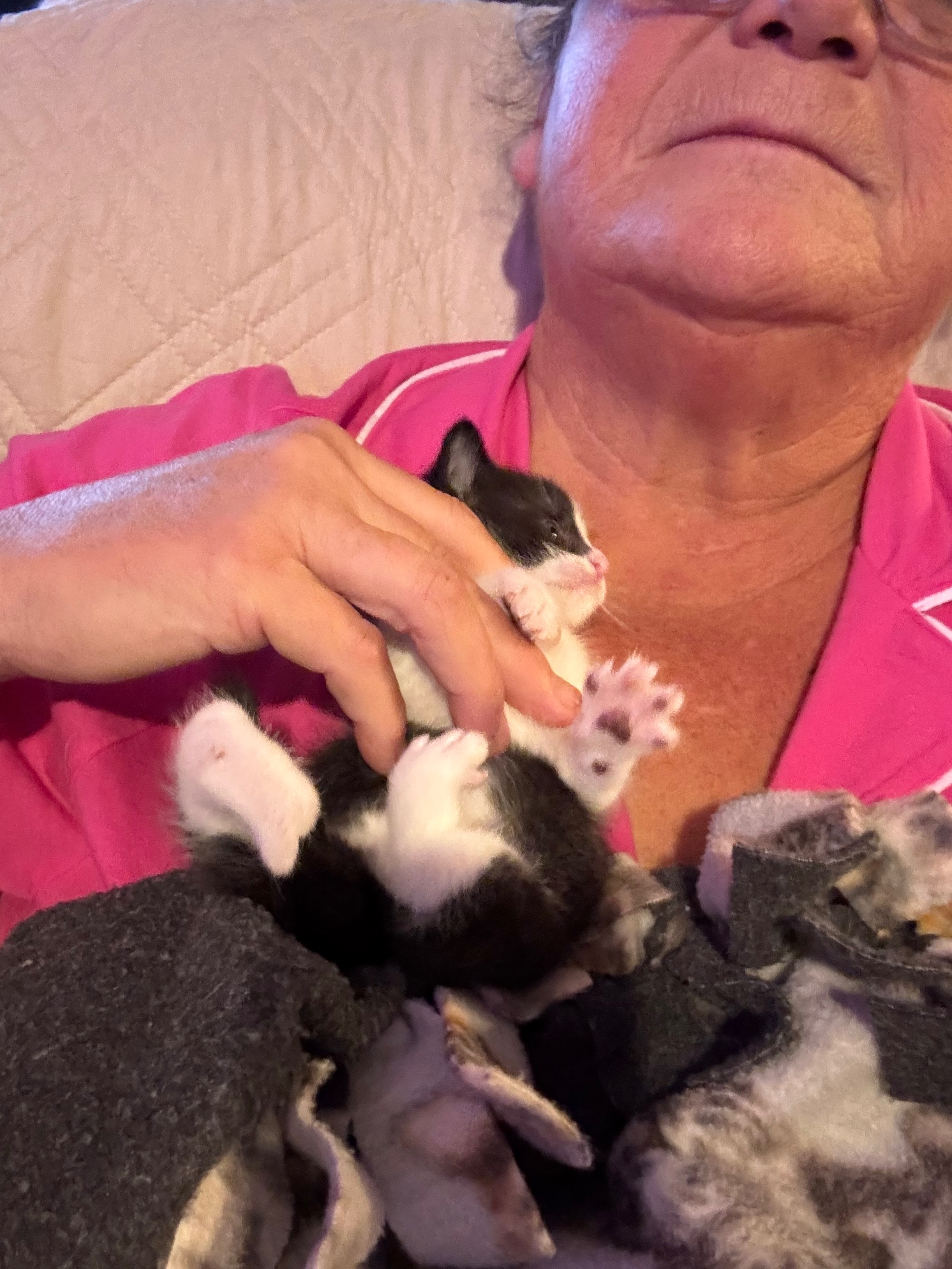 Support Xena's Journey to a Full Life campaign photo, 4 of 8