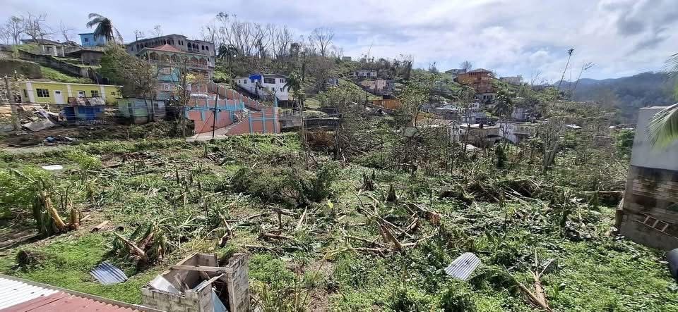 User-uploaded image 1