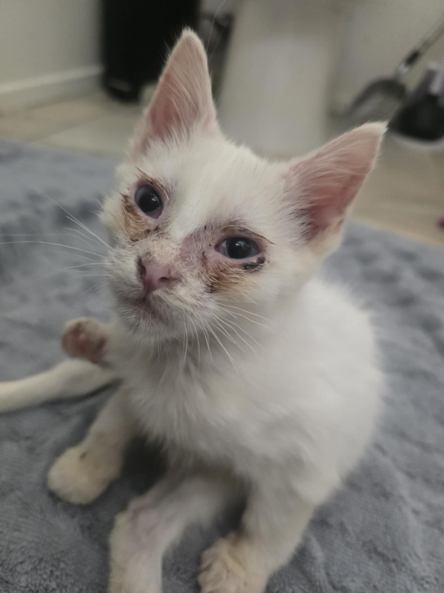 Help Eikichi Overcome Severe Infections campaign photo, 4 of 5
