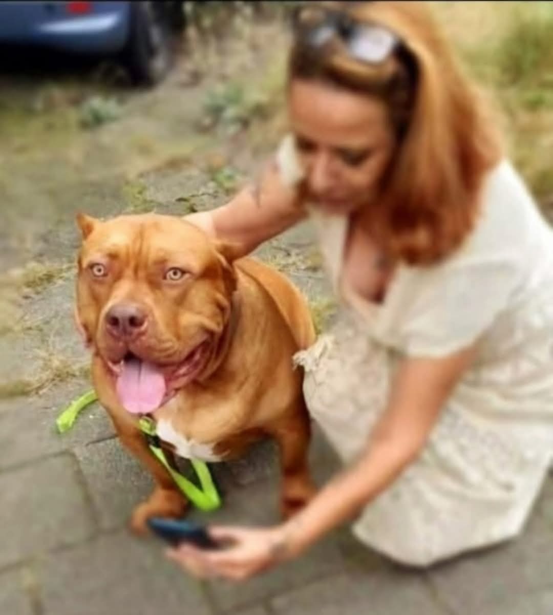 Mootje heeft dringend een auto nodig voor haar honden rescue campaign photo, 2 of 4