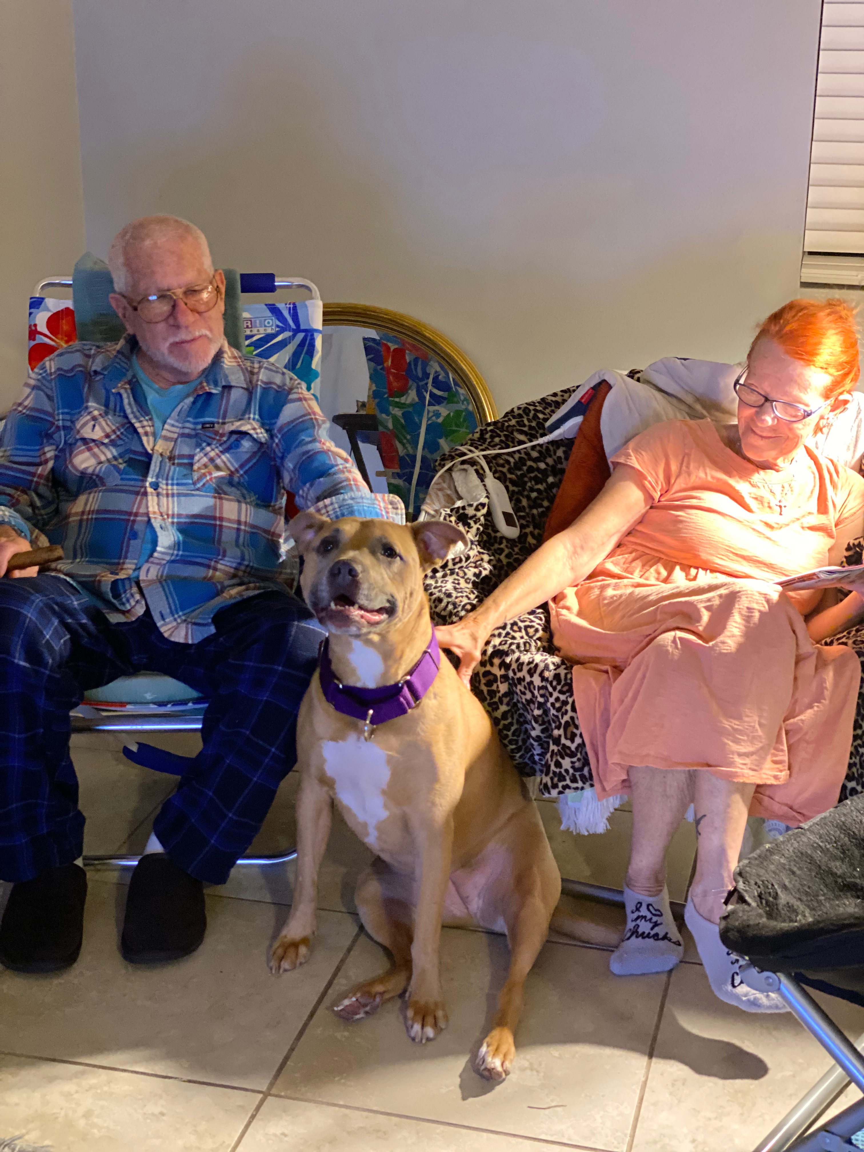 Help Sophie Fight ORAL Cancer: Support Dell's Therapy Dog campaign photo, 4 of 7