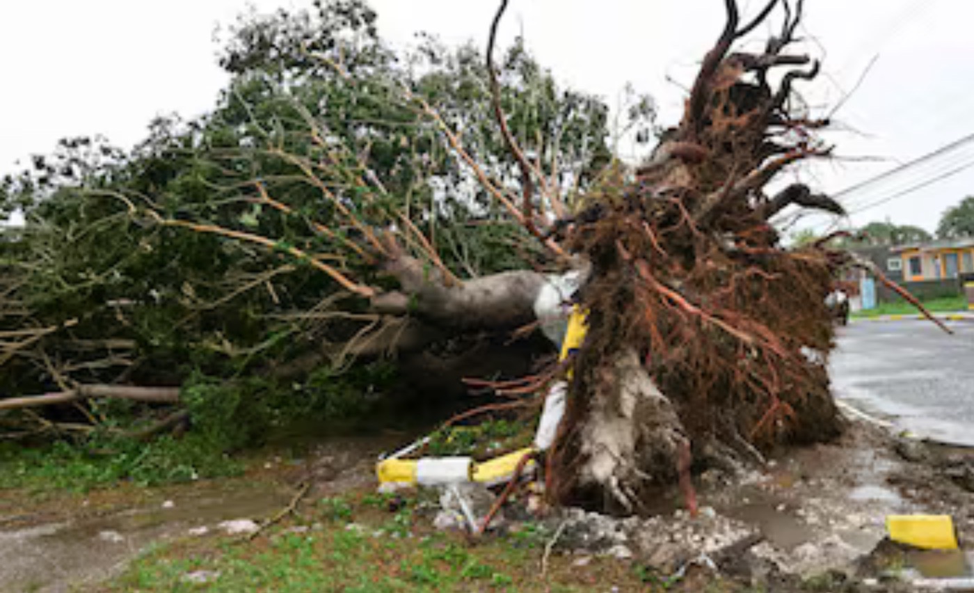 User-uploaded image 1